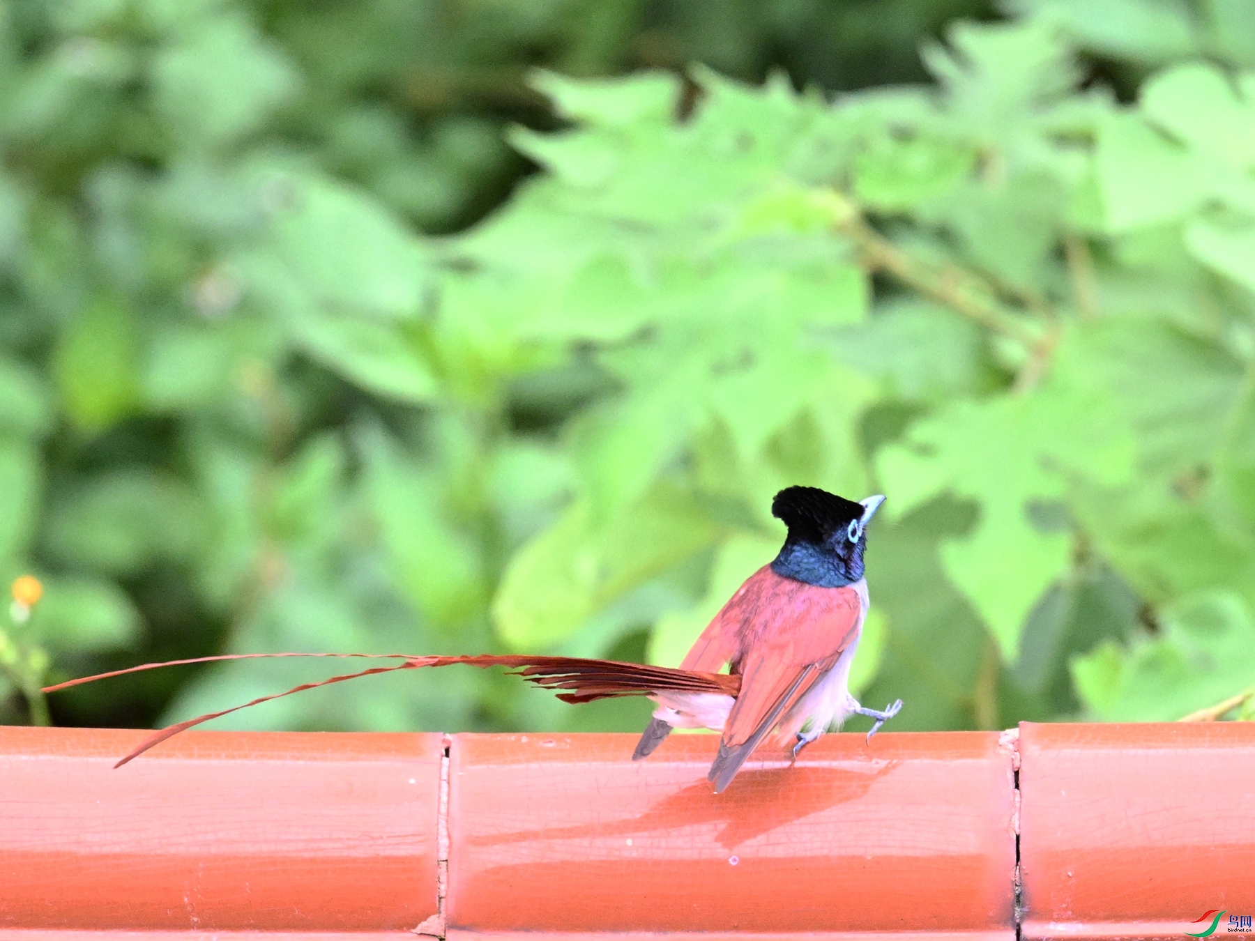 DSC_7157.JPG
