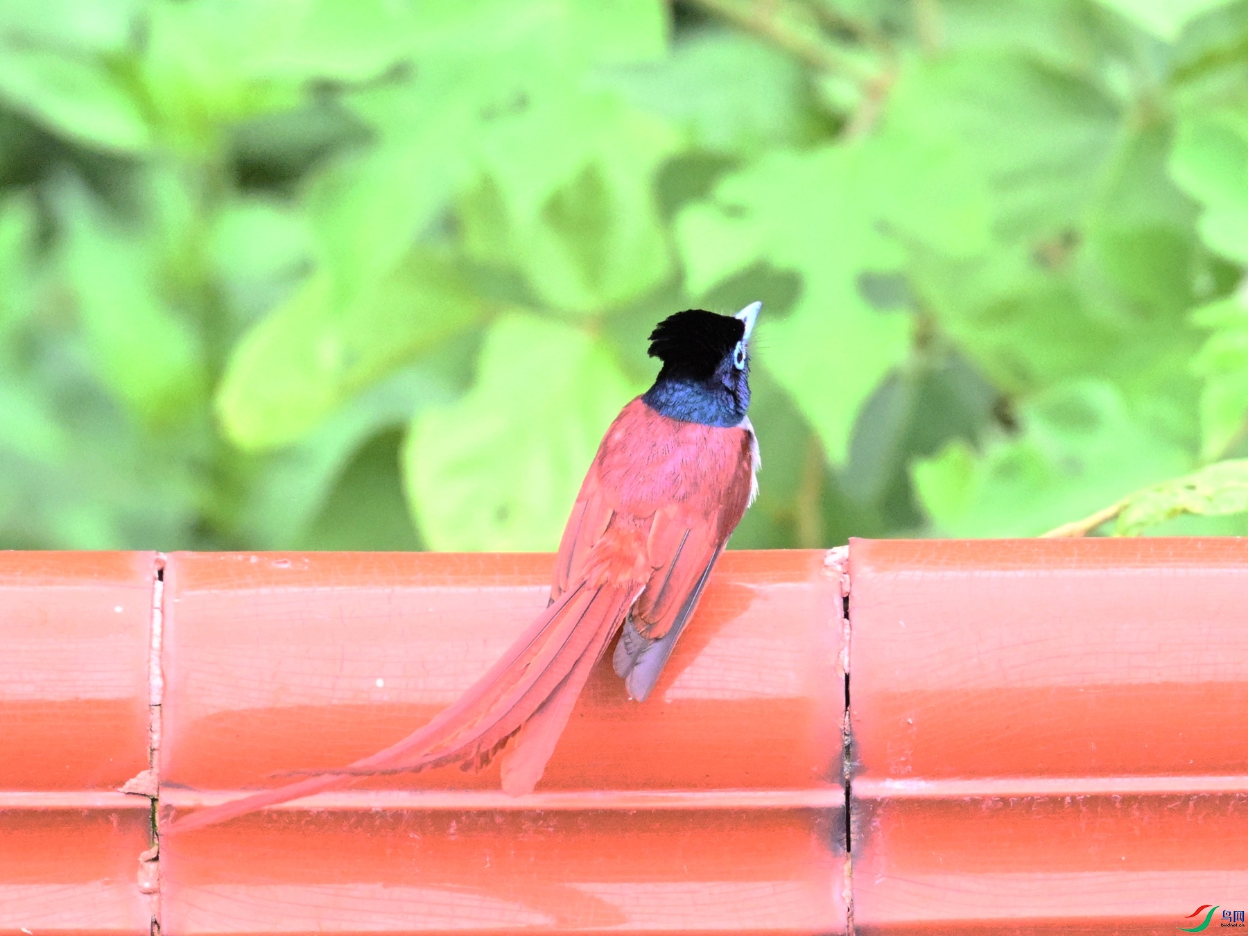 DSC_7172.JPG