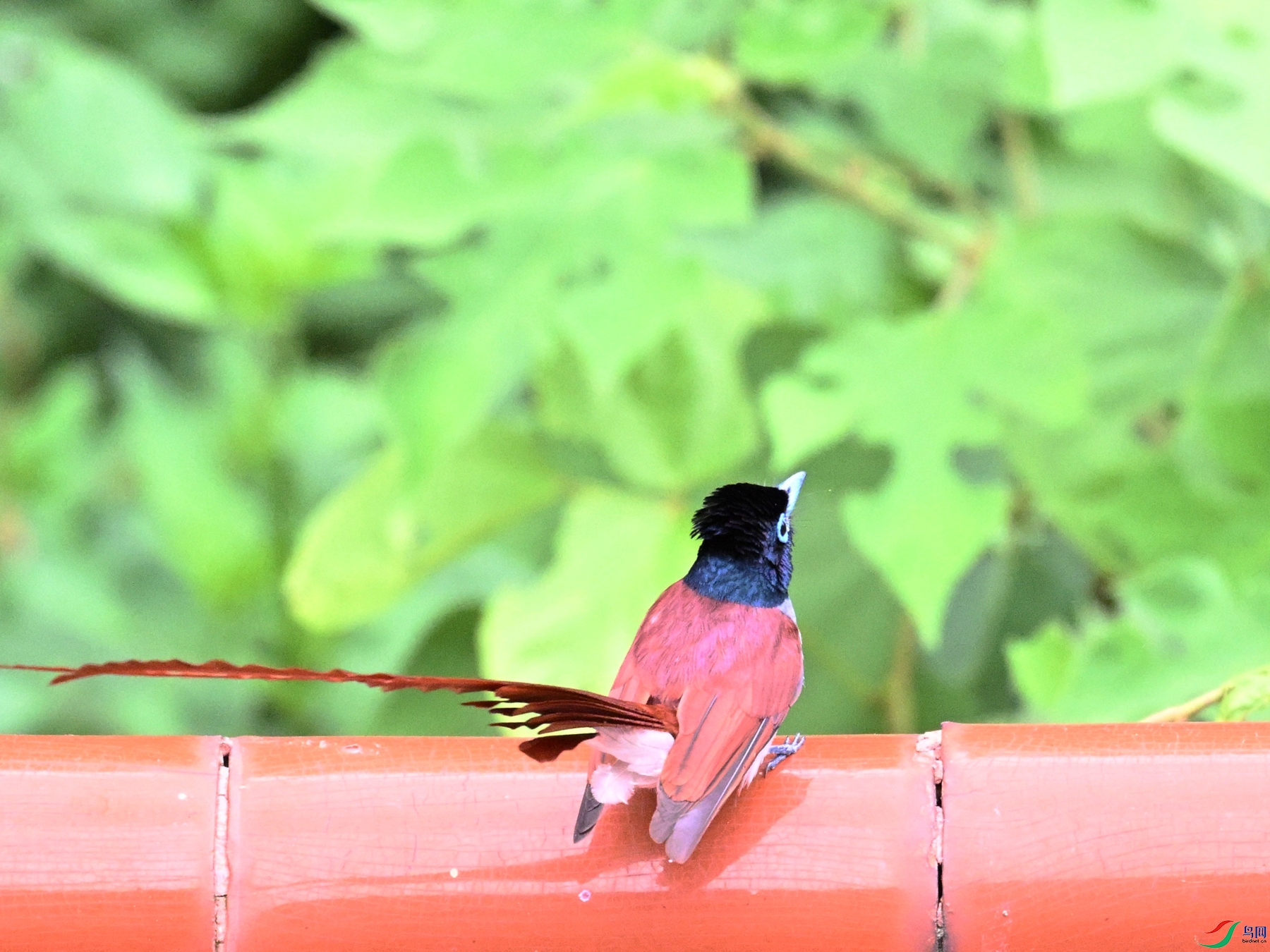 DSC_7159.JPG