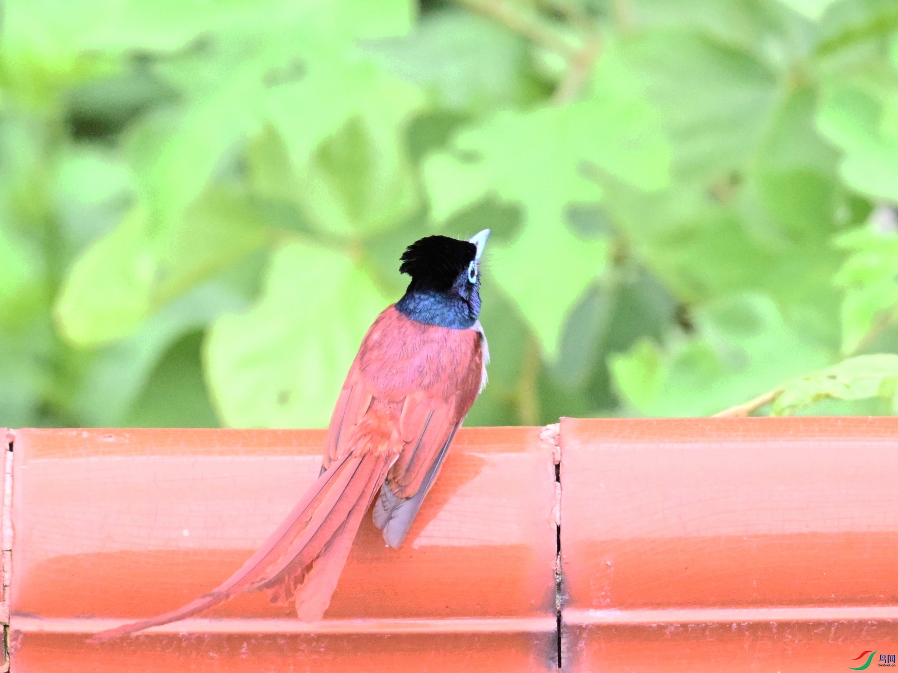 DSC_7171.JPG