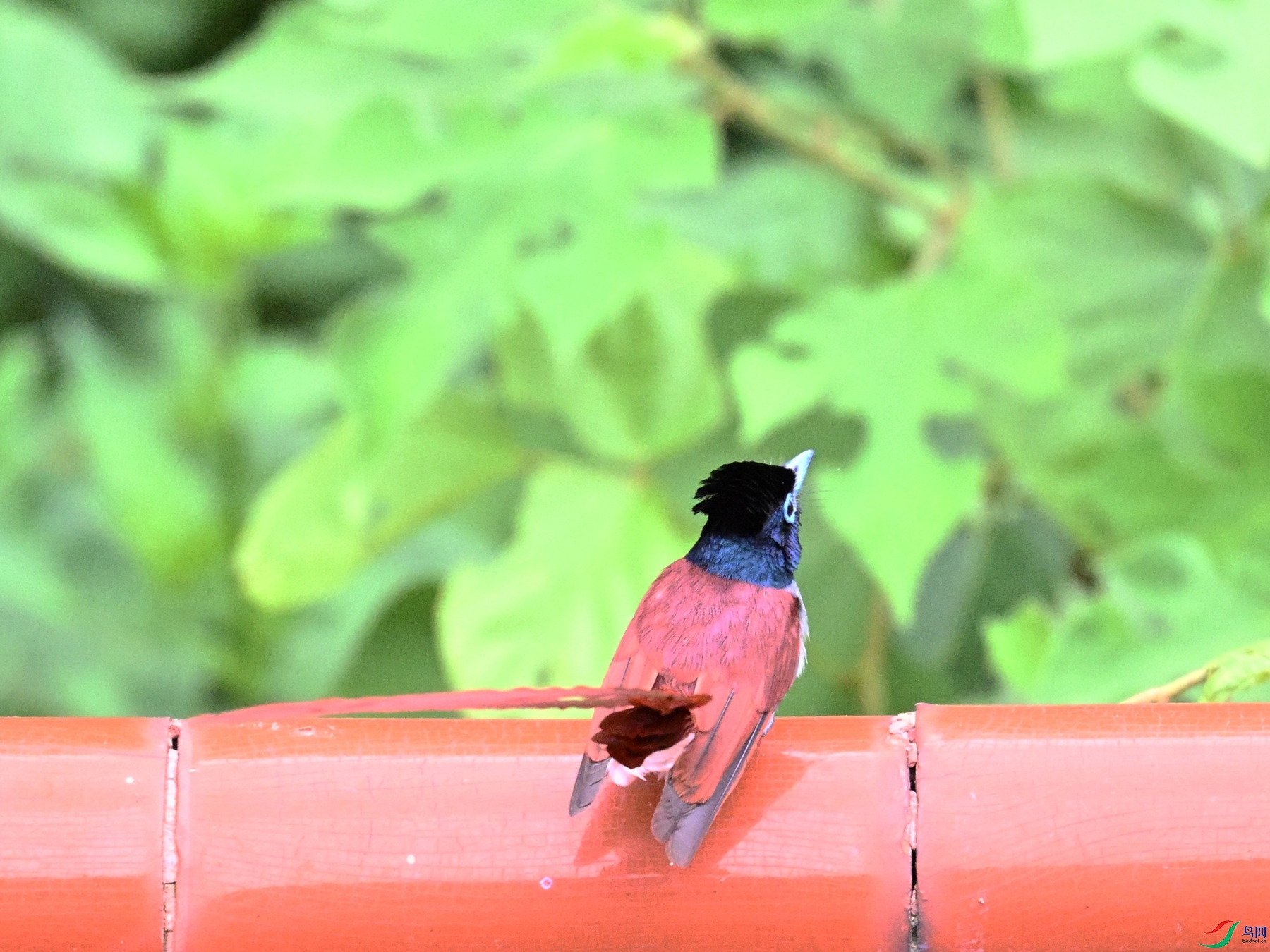 DSC_7162.JPG