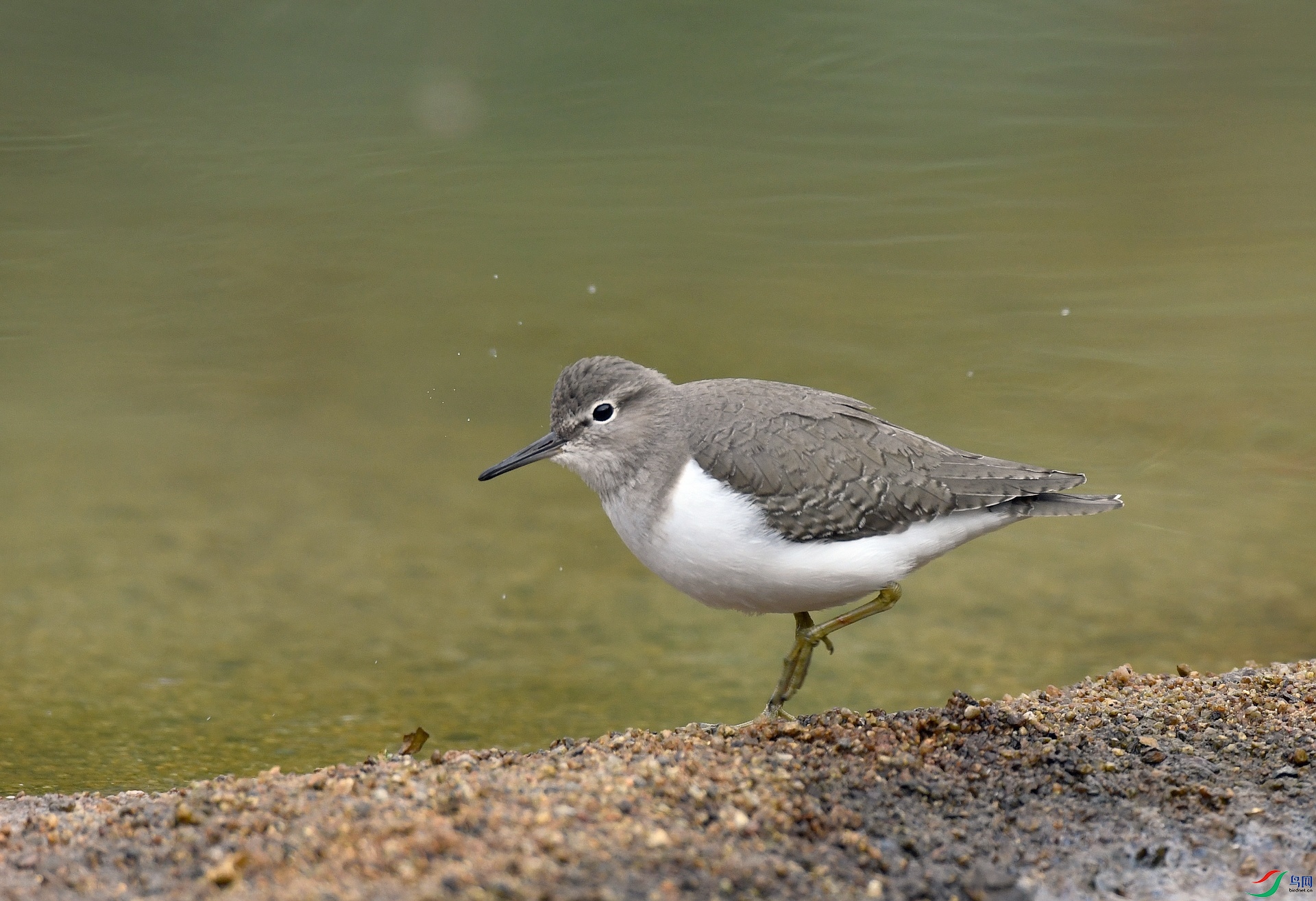 DSC_7896.jpg