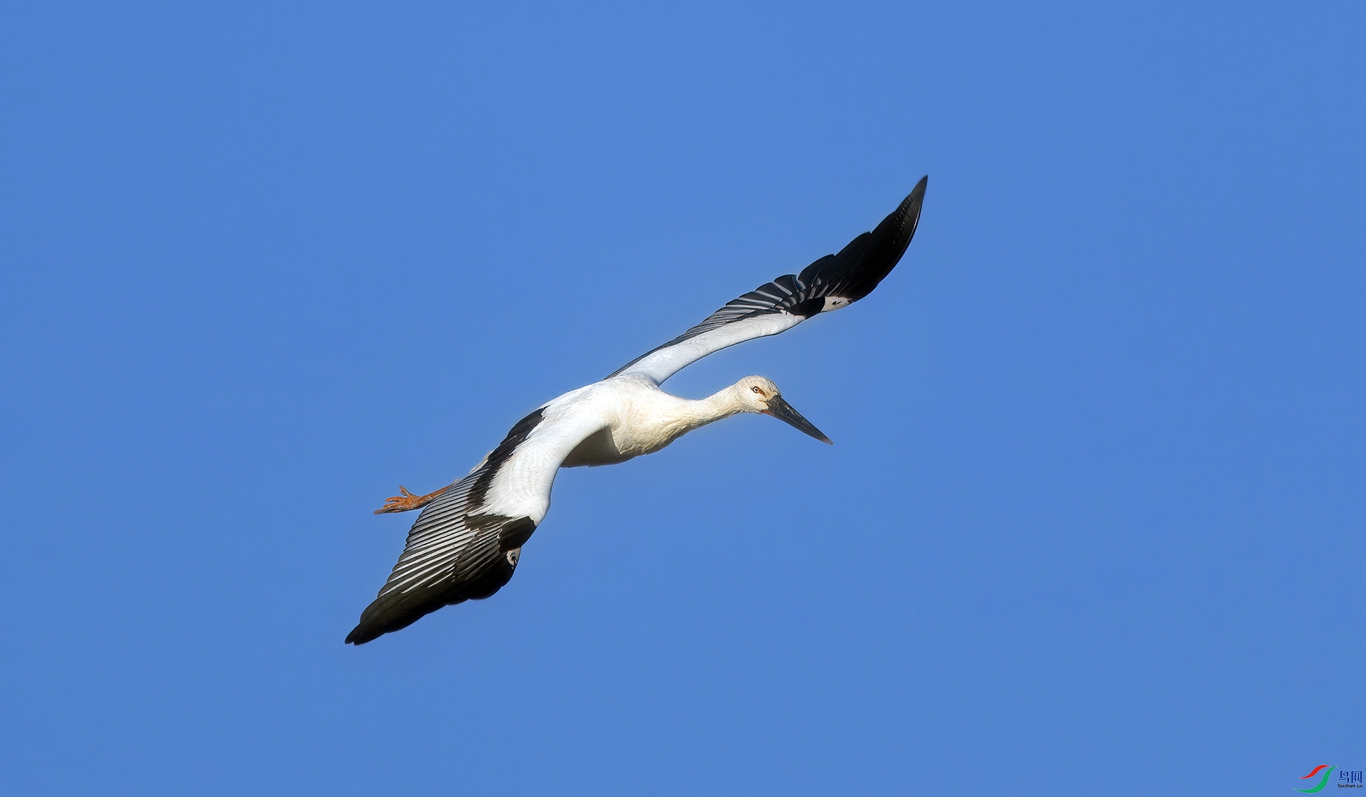 DSC02128-topaz-denoiseraw-sharpen ����.jpg