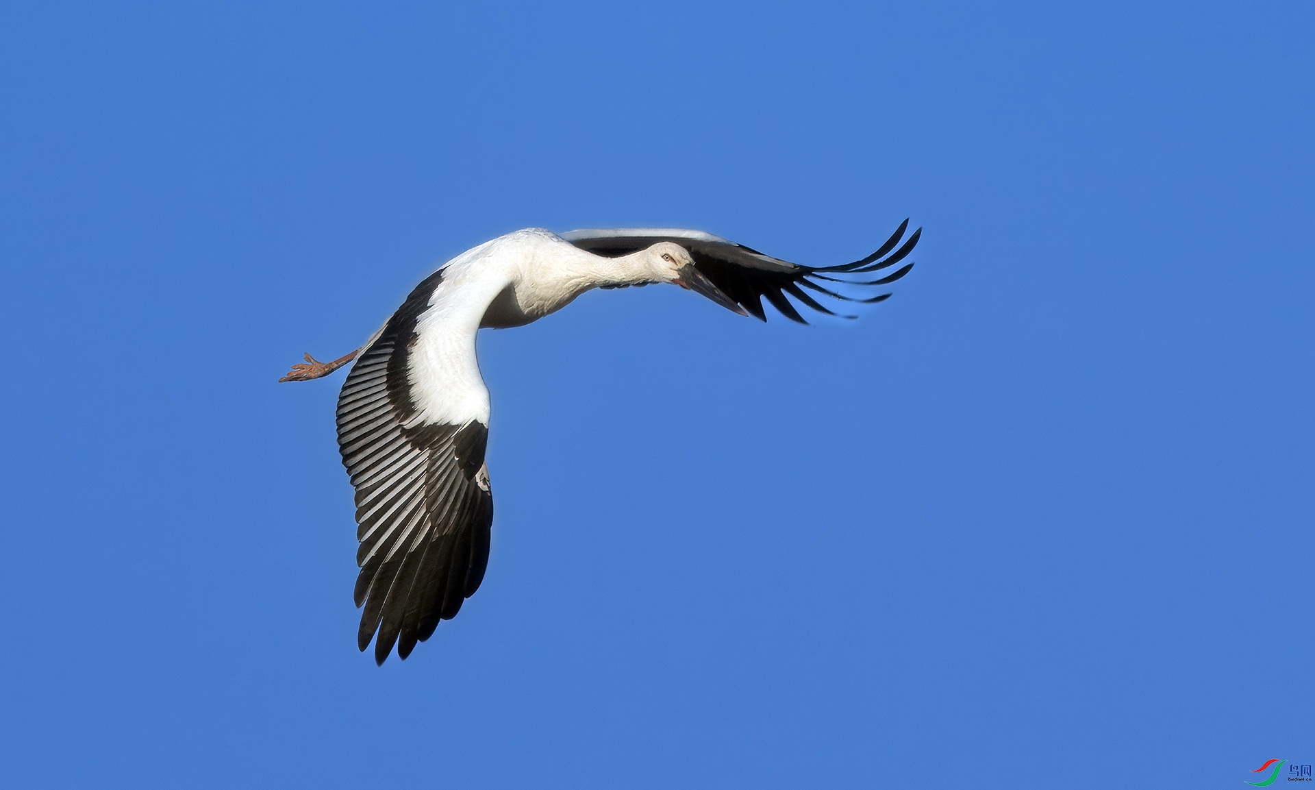 �������� (2).jpg