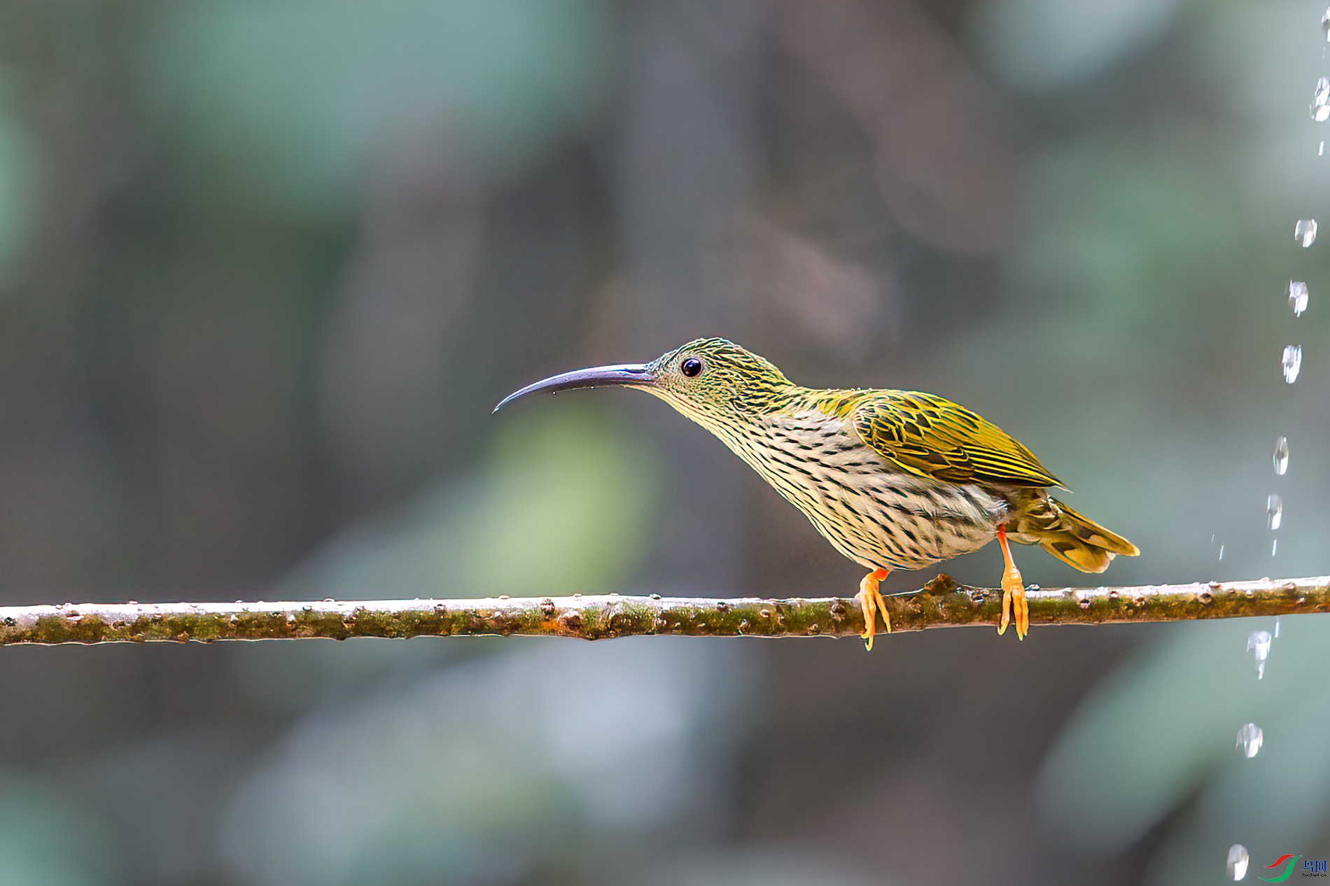 a_77834-1.jpg