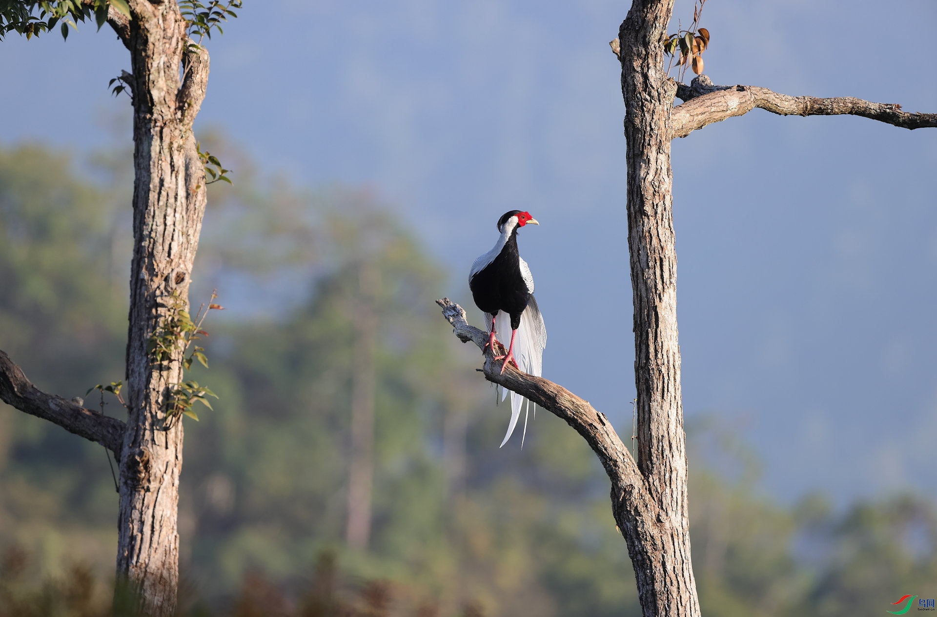 AC1I0022 - ����.JPG