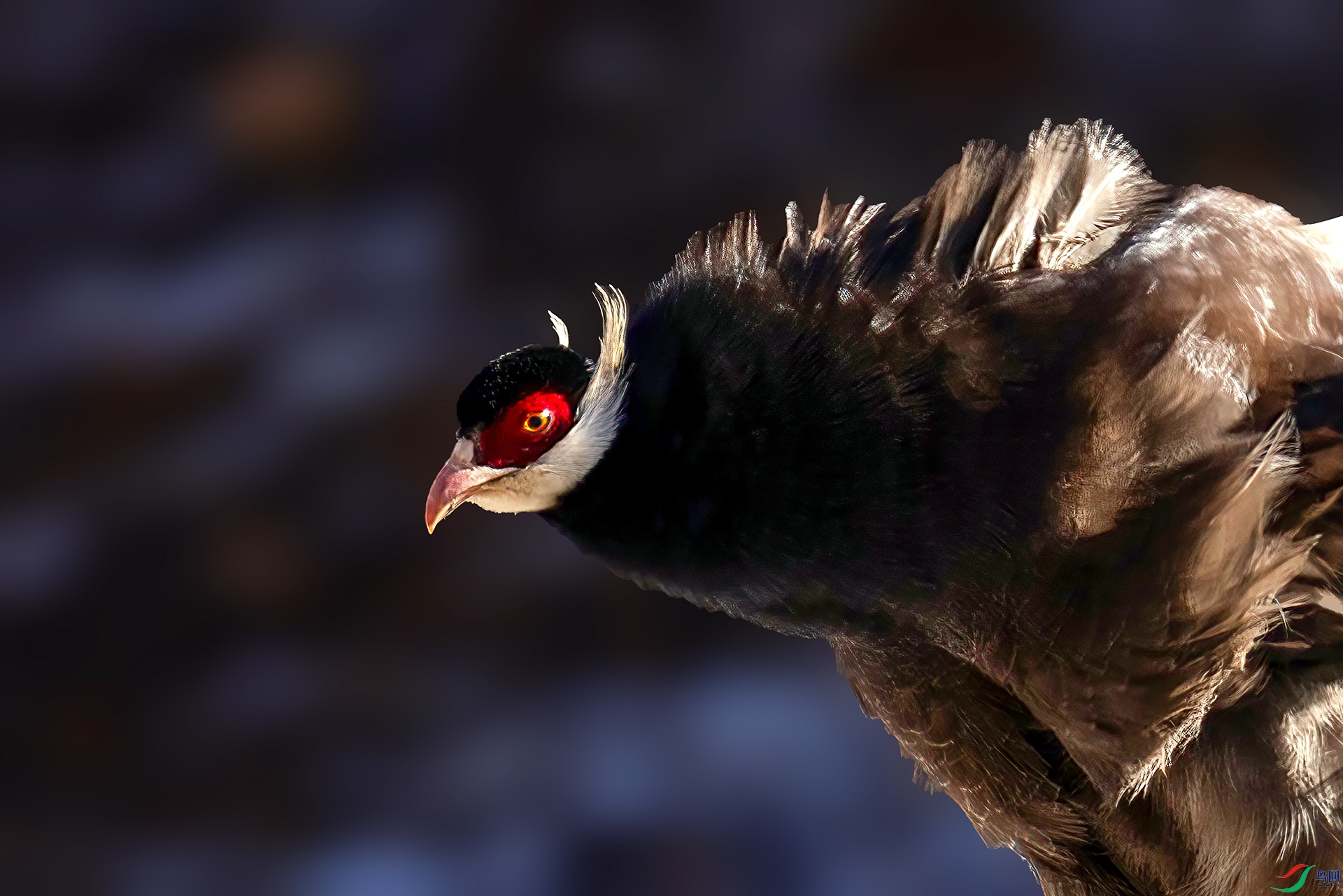 _07A0405 ����-Sh-----1 .jpg