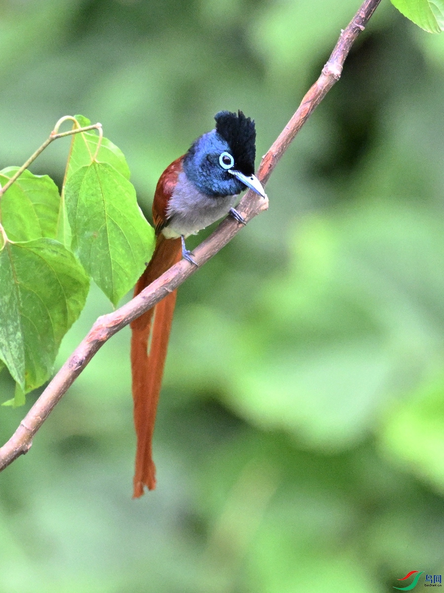 DSC_7341.JPG