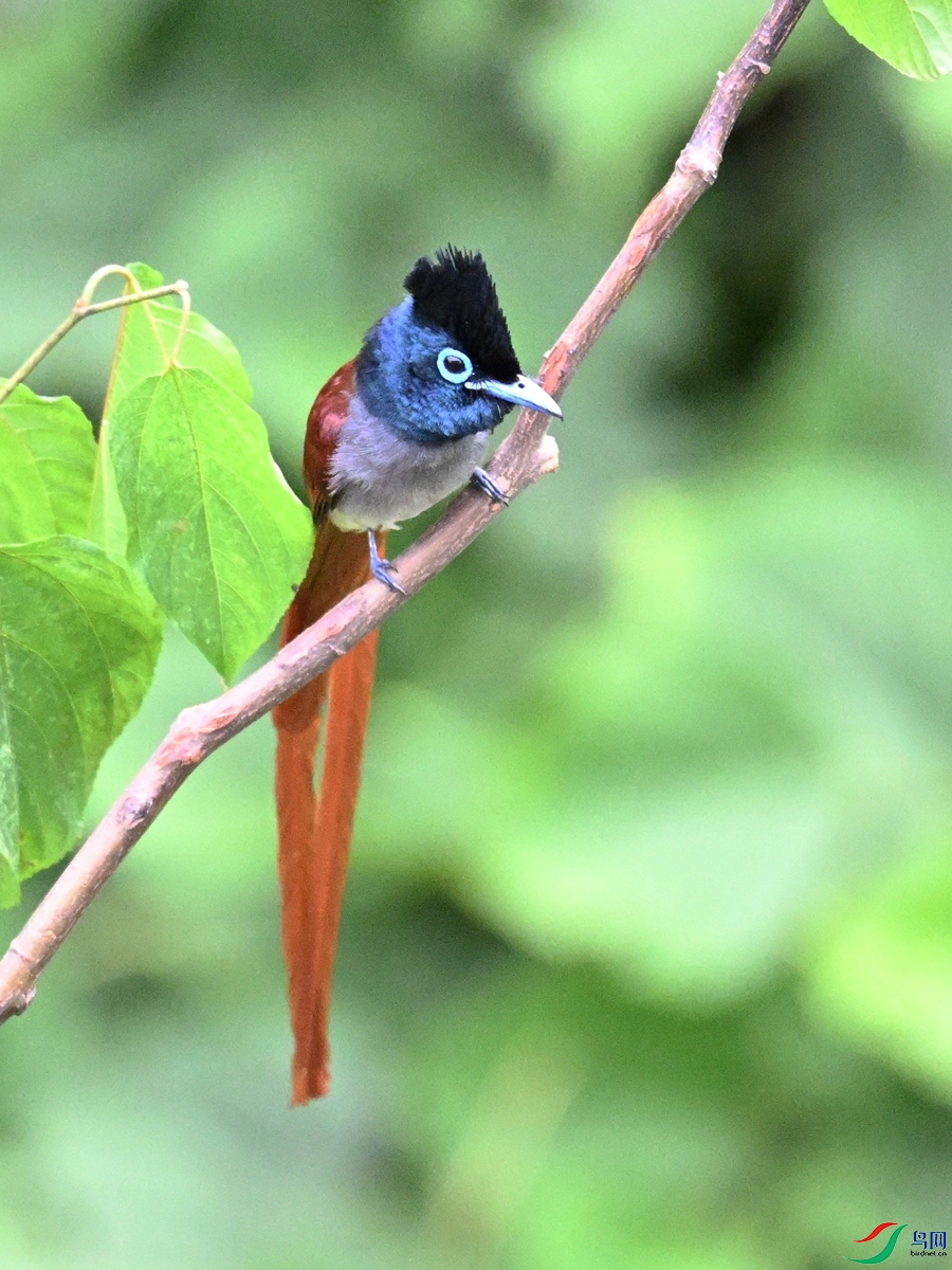 DSC_7321.JPG