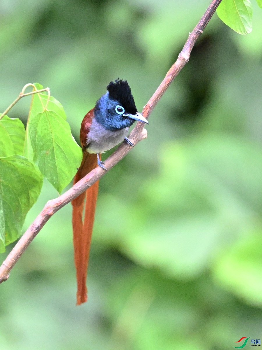 DSC_7322.JPG