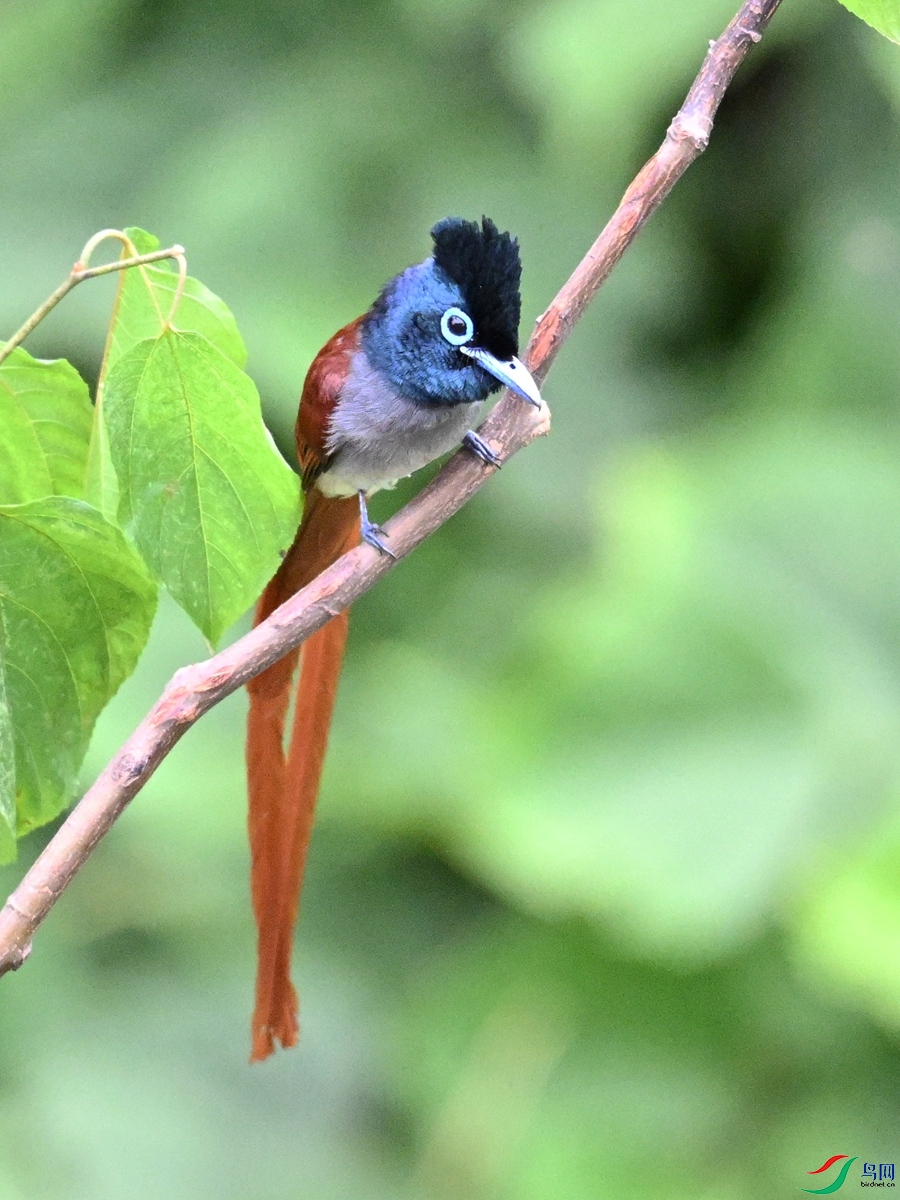 DSC_7339.JPG
