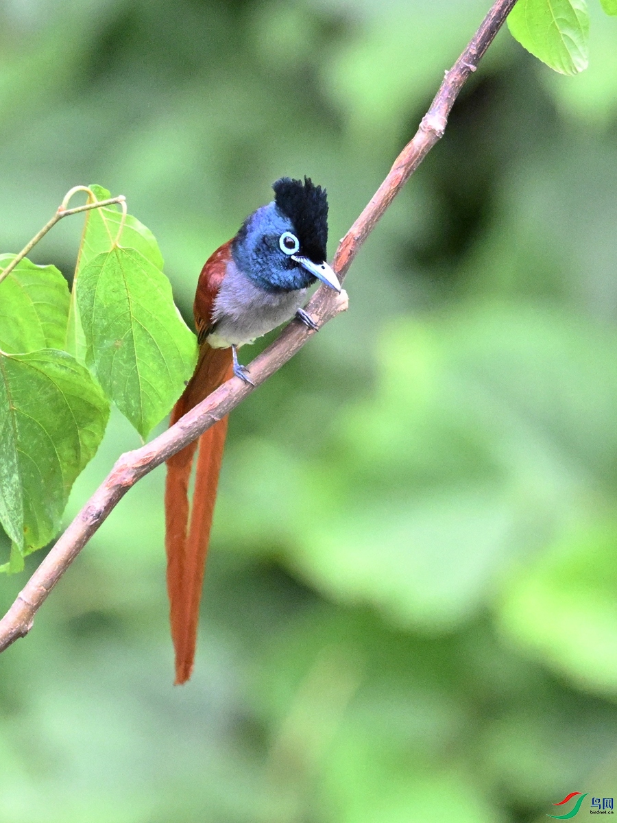 DSC_7334.JPG