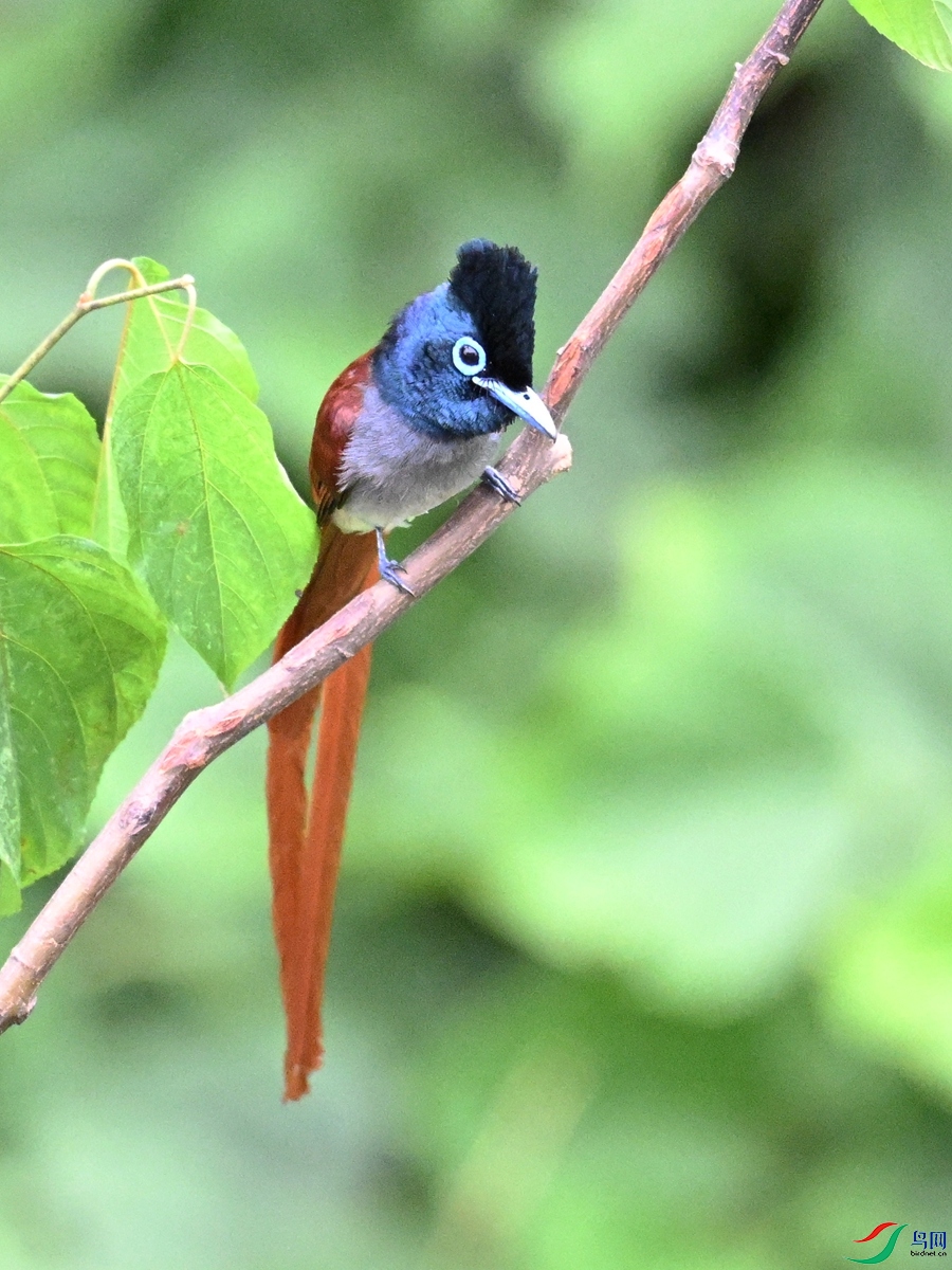 DSC_7331.JPG