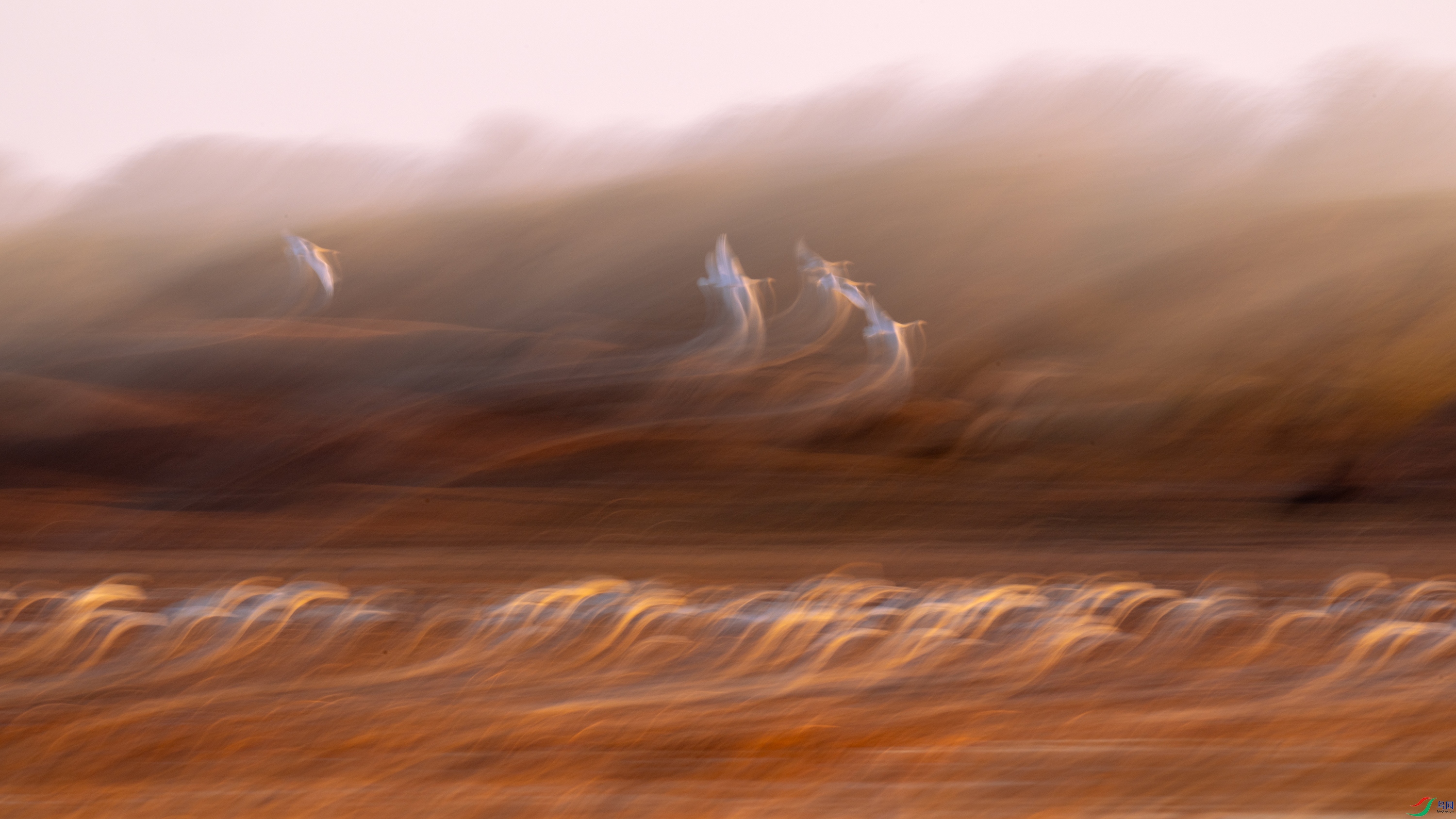 DSC_2790.jpg