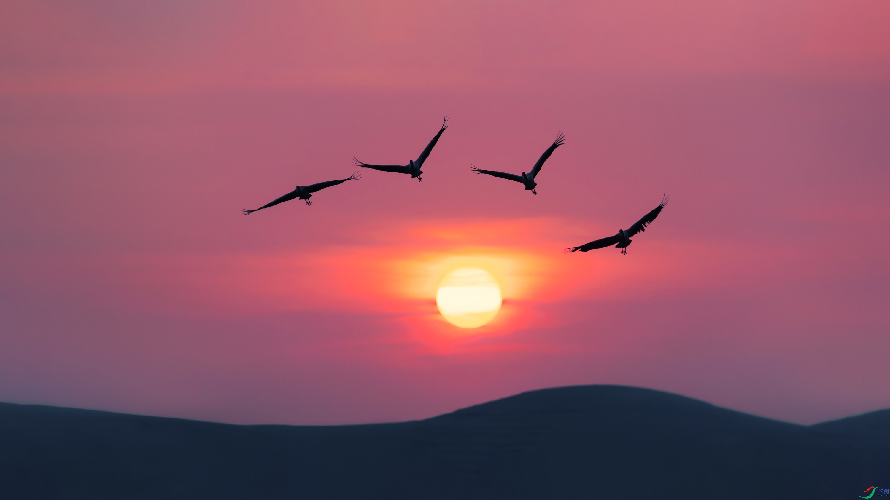 TZC_0180-����ǿ-NR.jpg