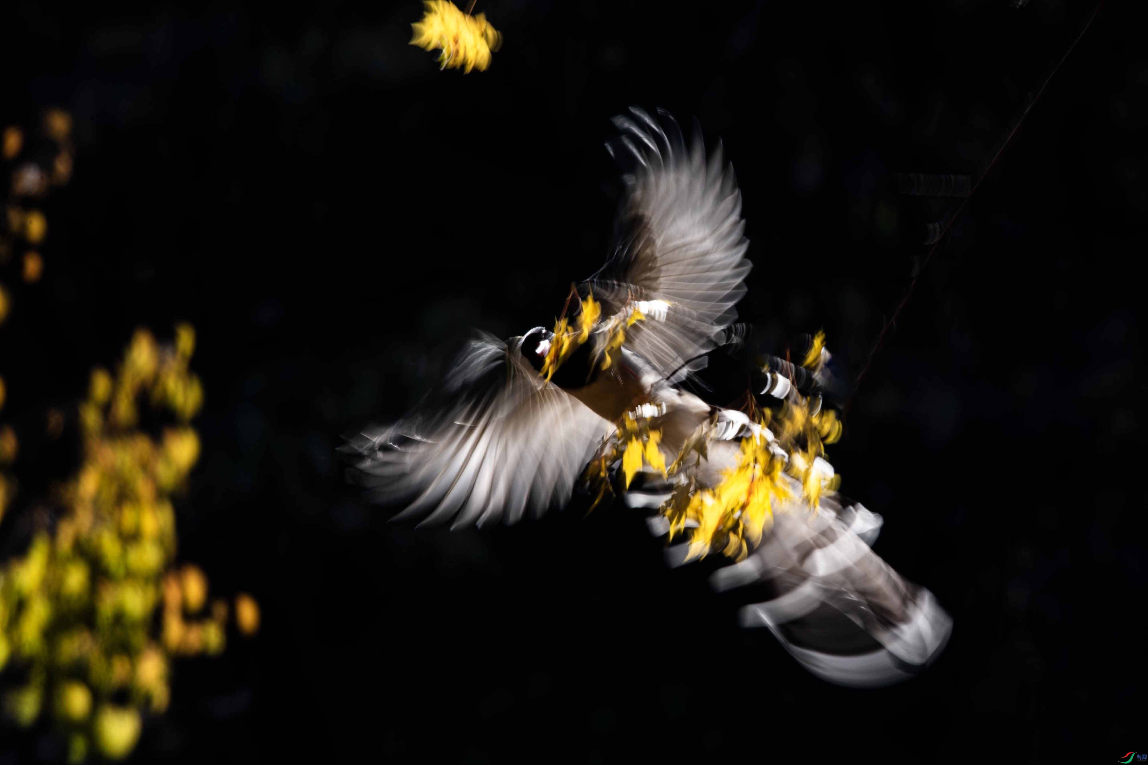 _DSC4603 ����.jpg