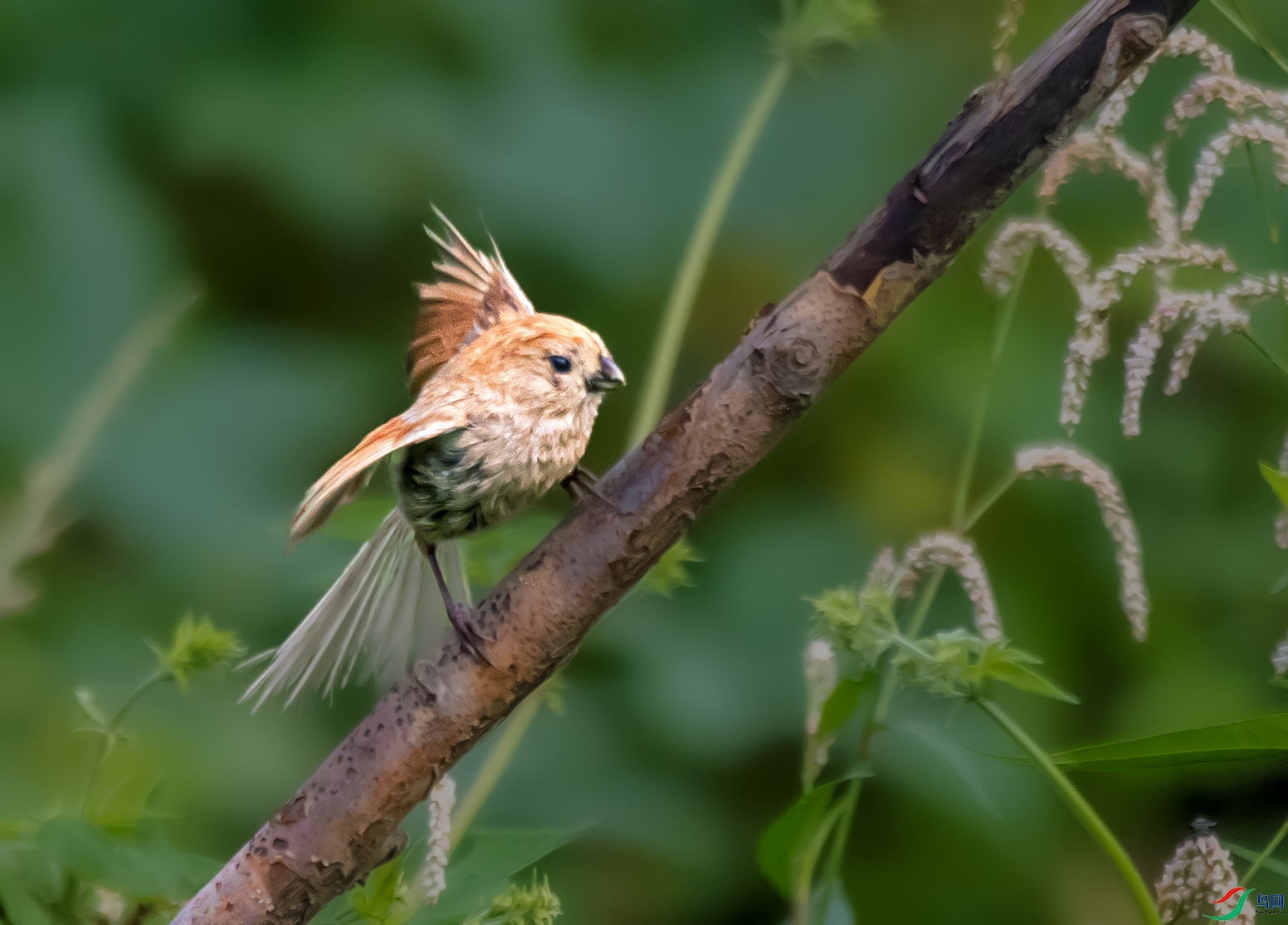 DSC_1535_��ͼ��_��ͼ�� ����.jpg