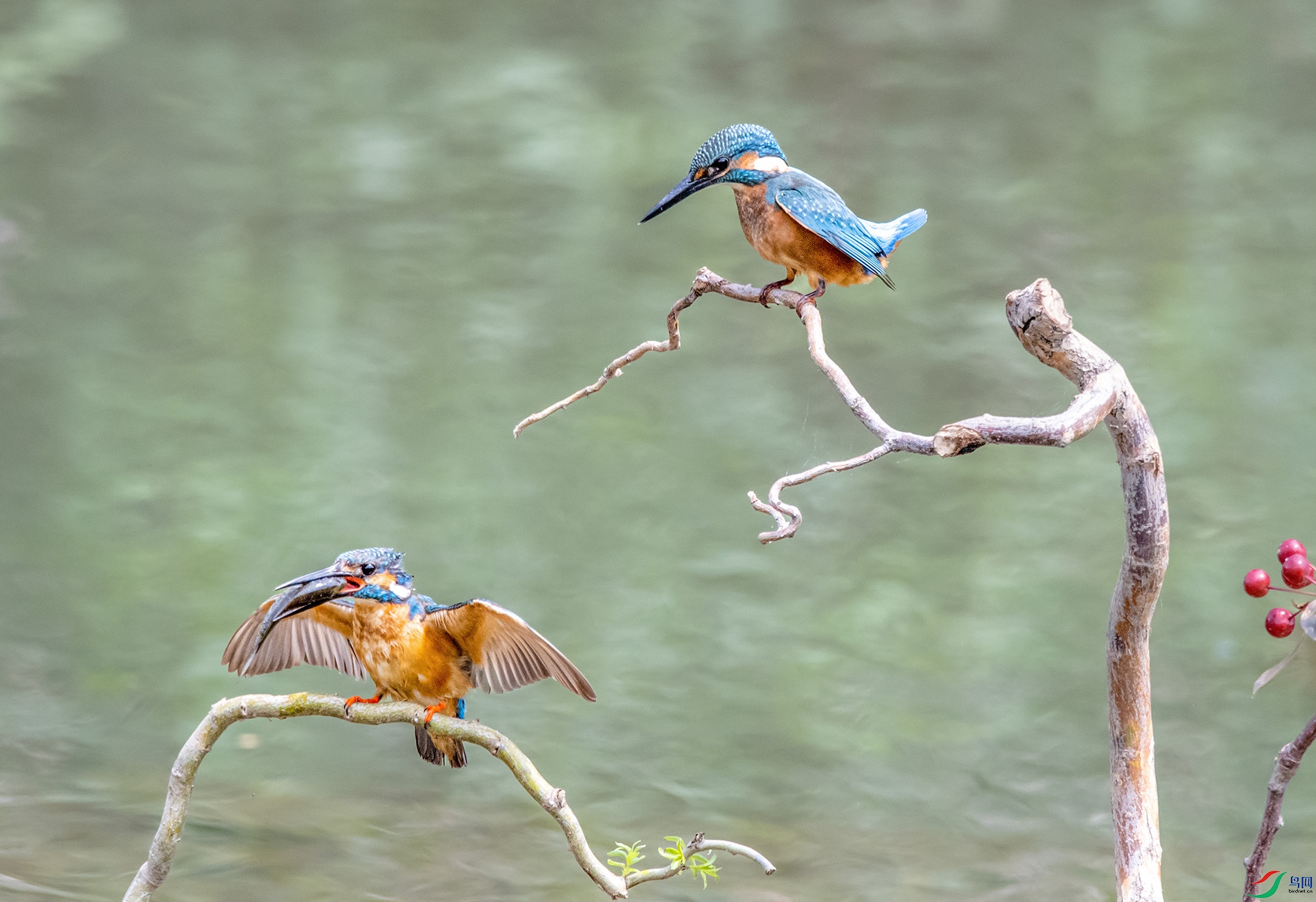 DSC_5227_��ͼ�� ����.jpg
