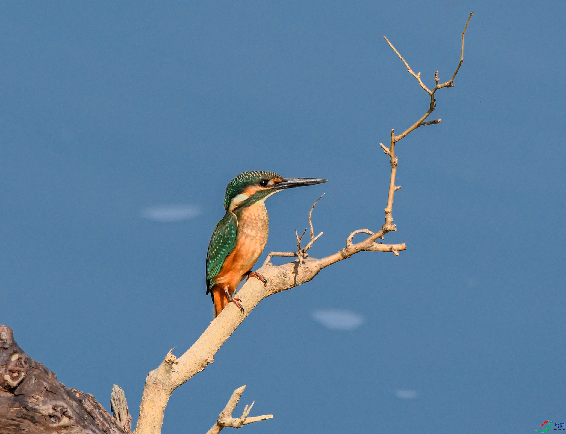 DSC_7297_��ͼ�� ����.jpg