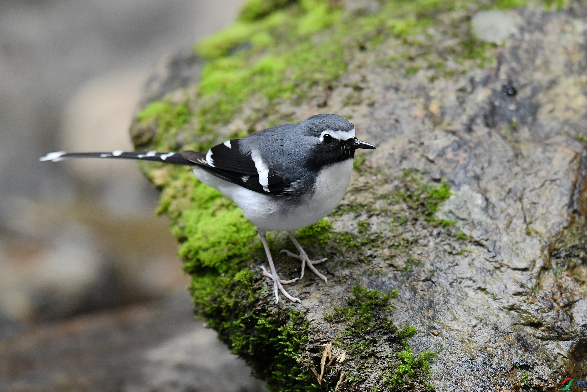DSC_6406.jpg