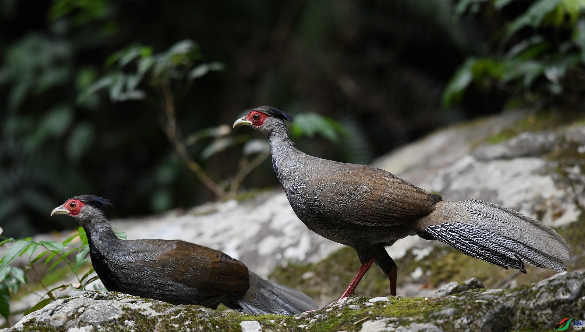 DSC_6465.jpg