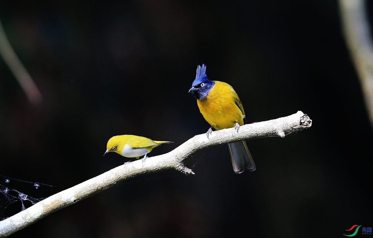 ���� IMGL6141�� ��2.JPG