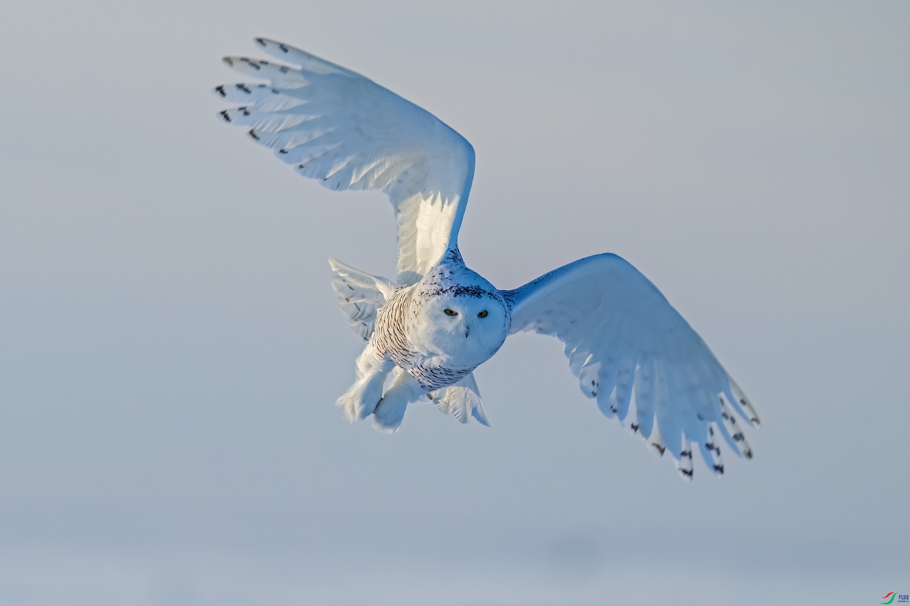DSC_3264.jpg