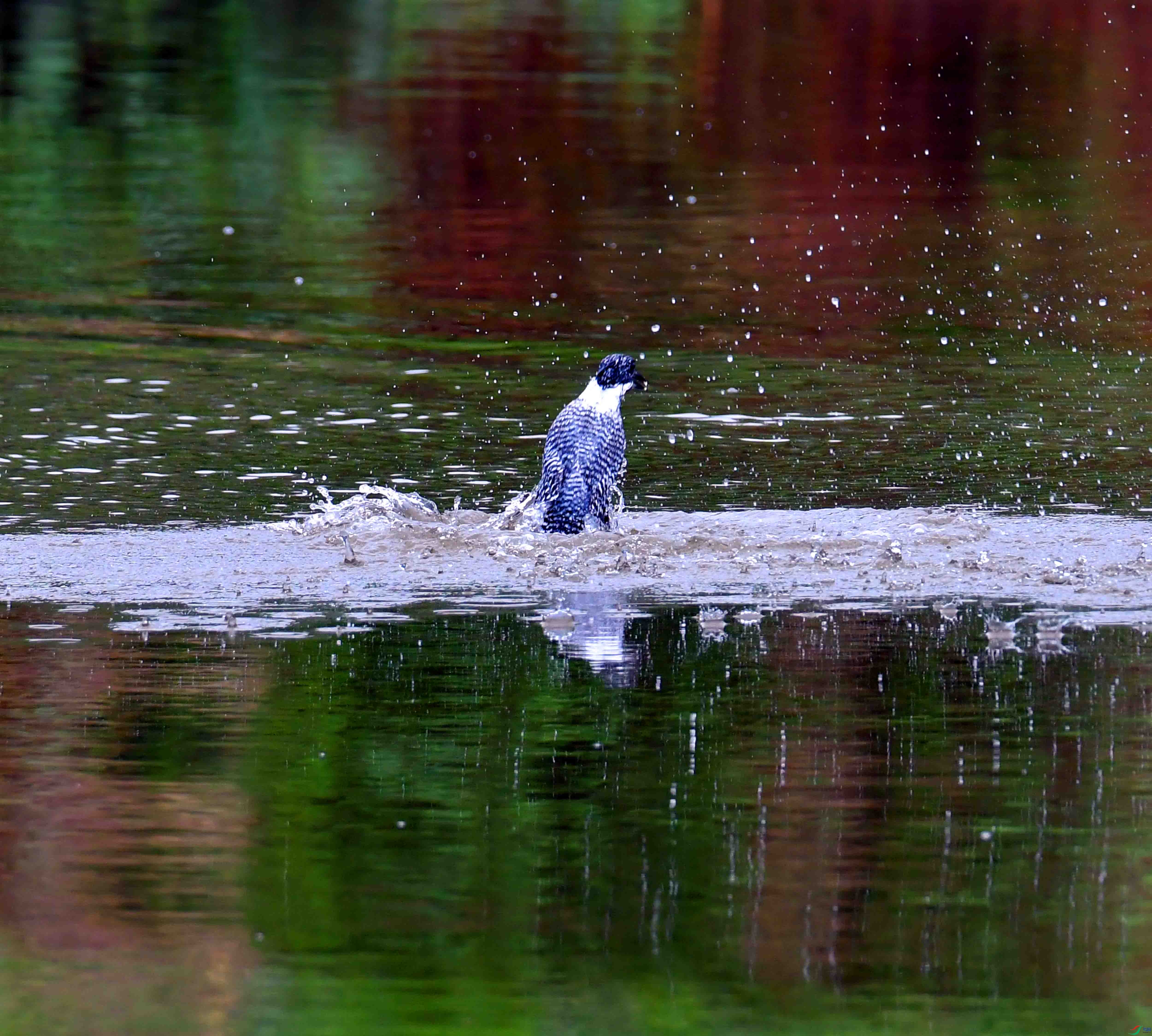 DSC_3874.JPG