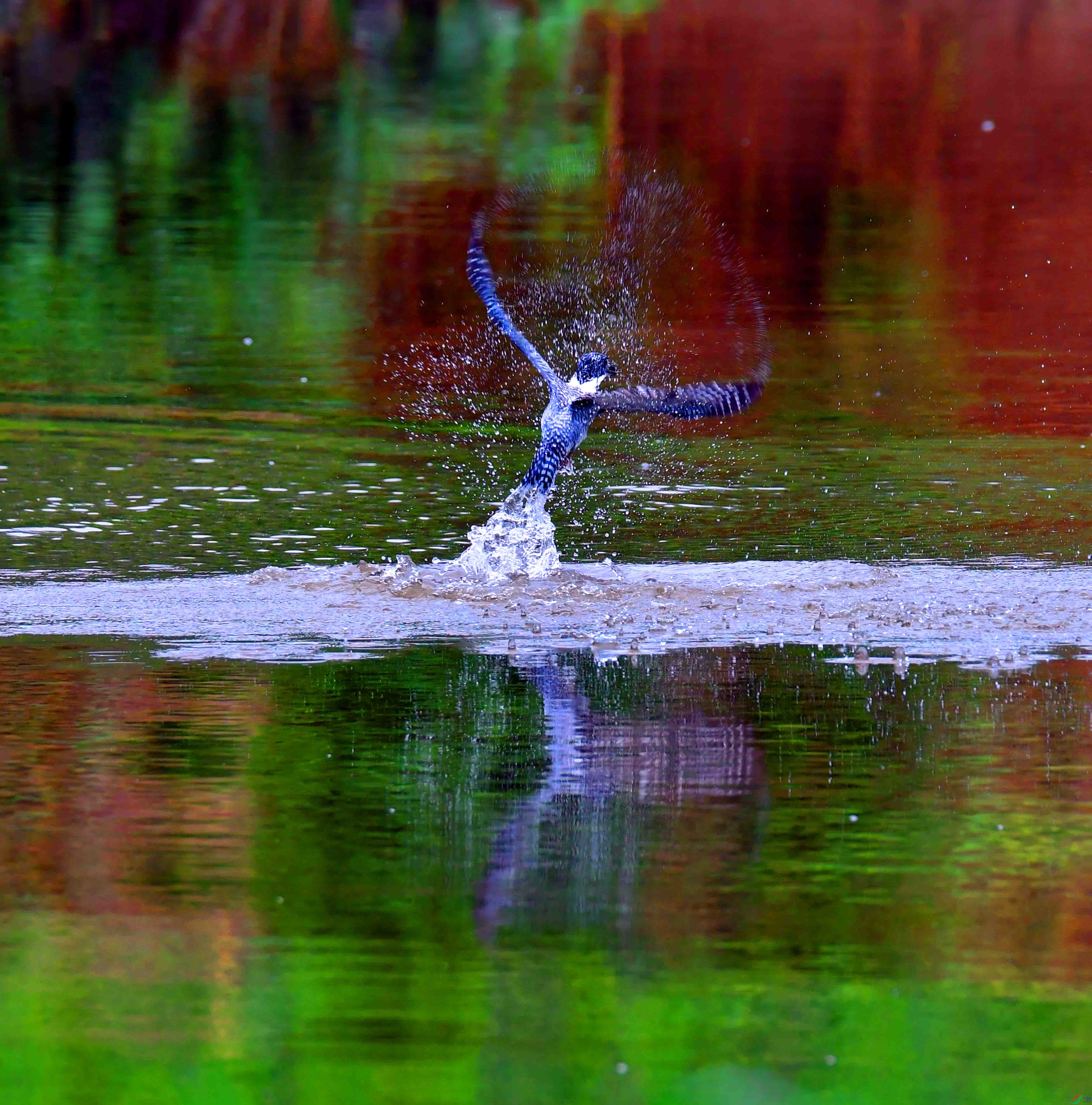 DSC_3875.JPG