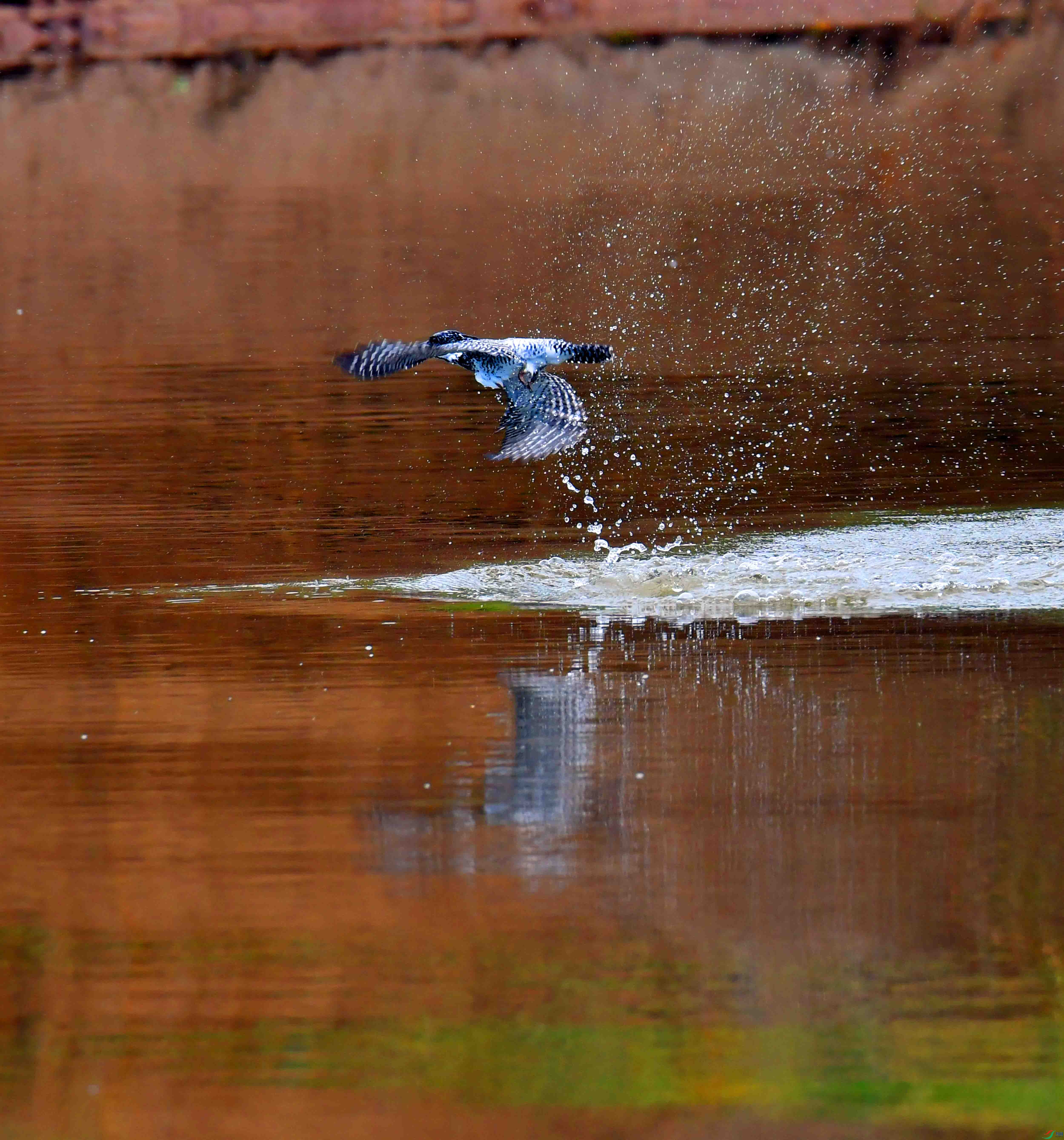 DSC_3862.JPG