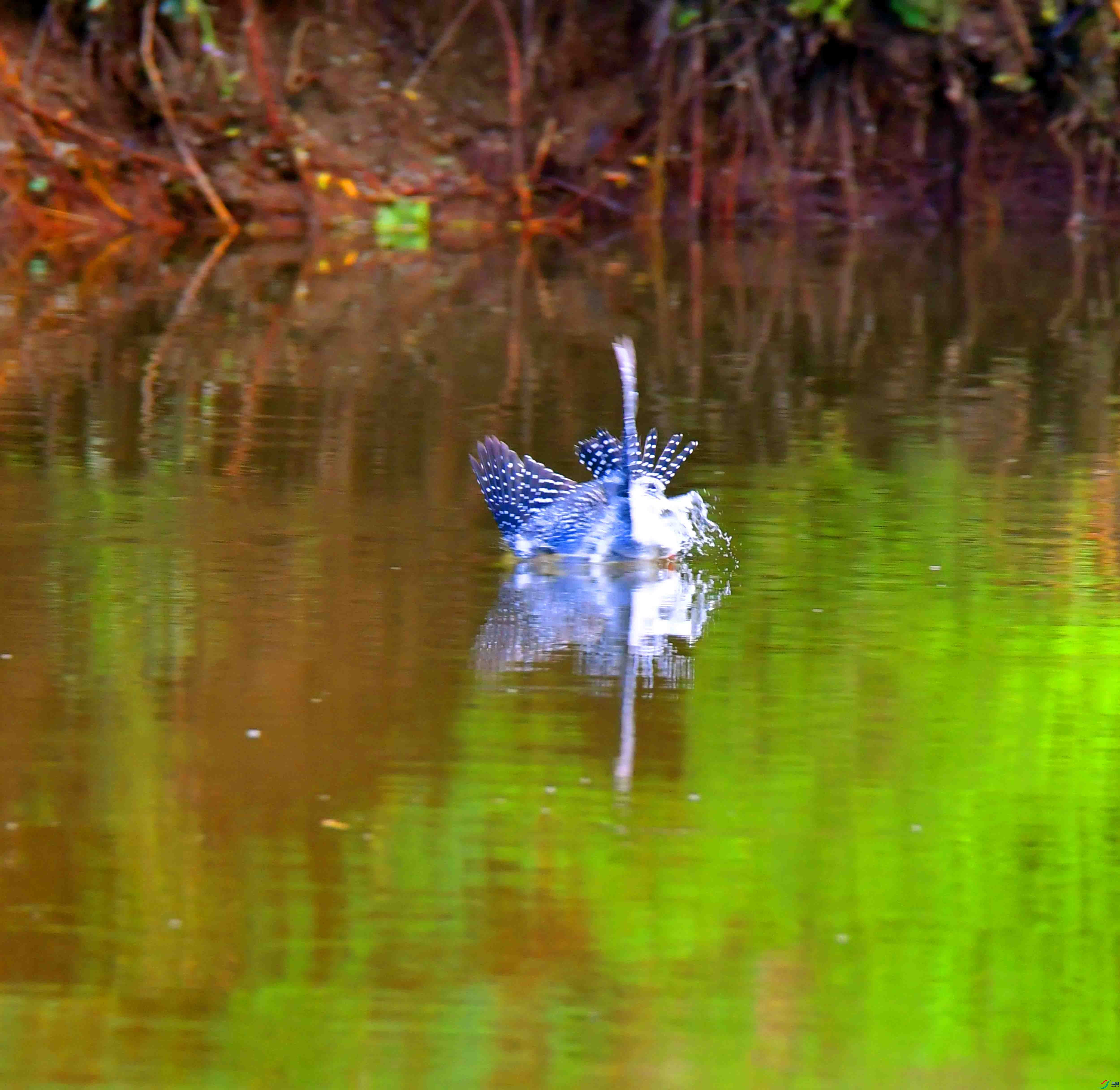 DSC_3912.JPG