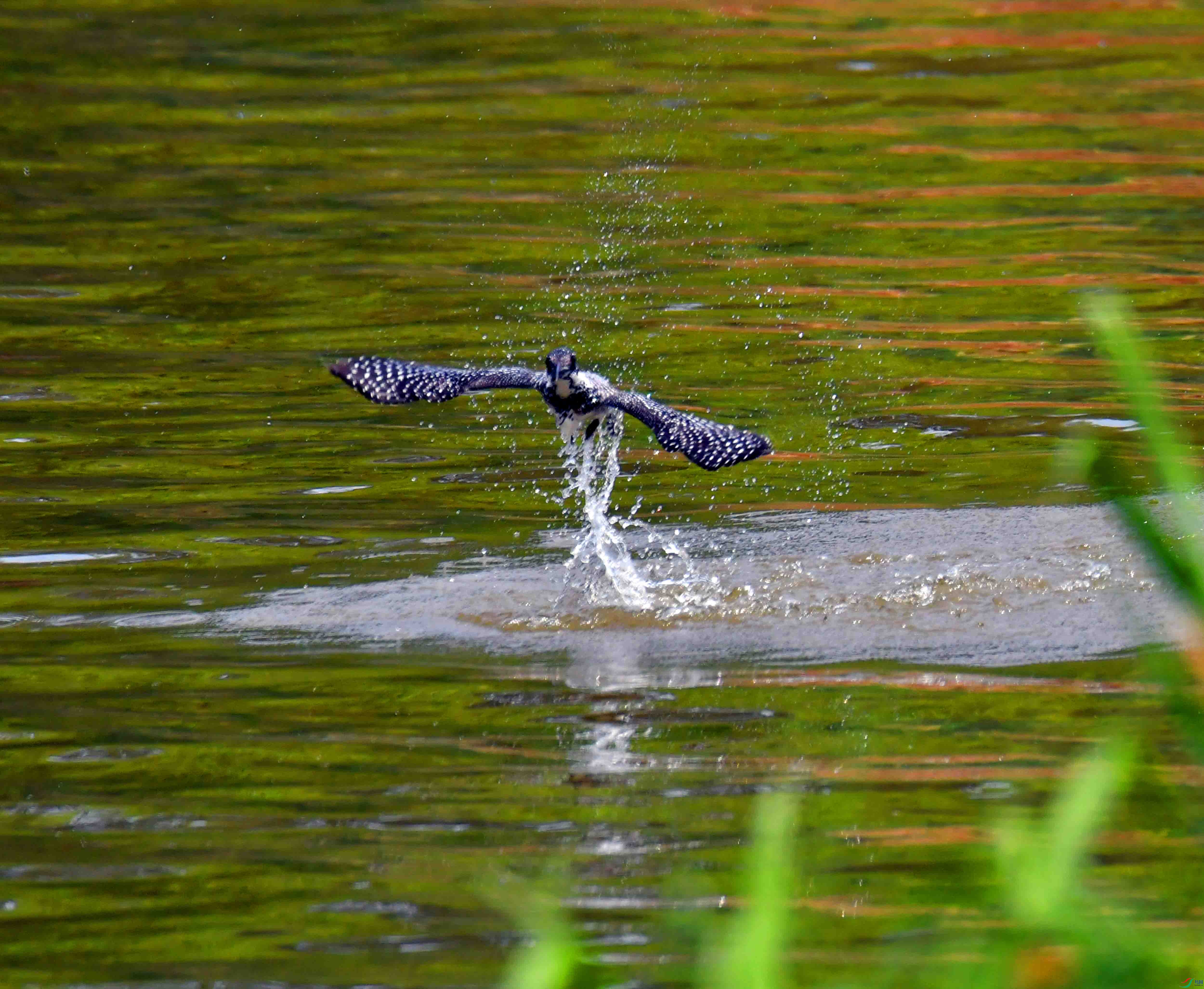 DSC_5182.JPG