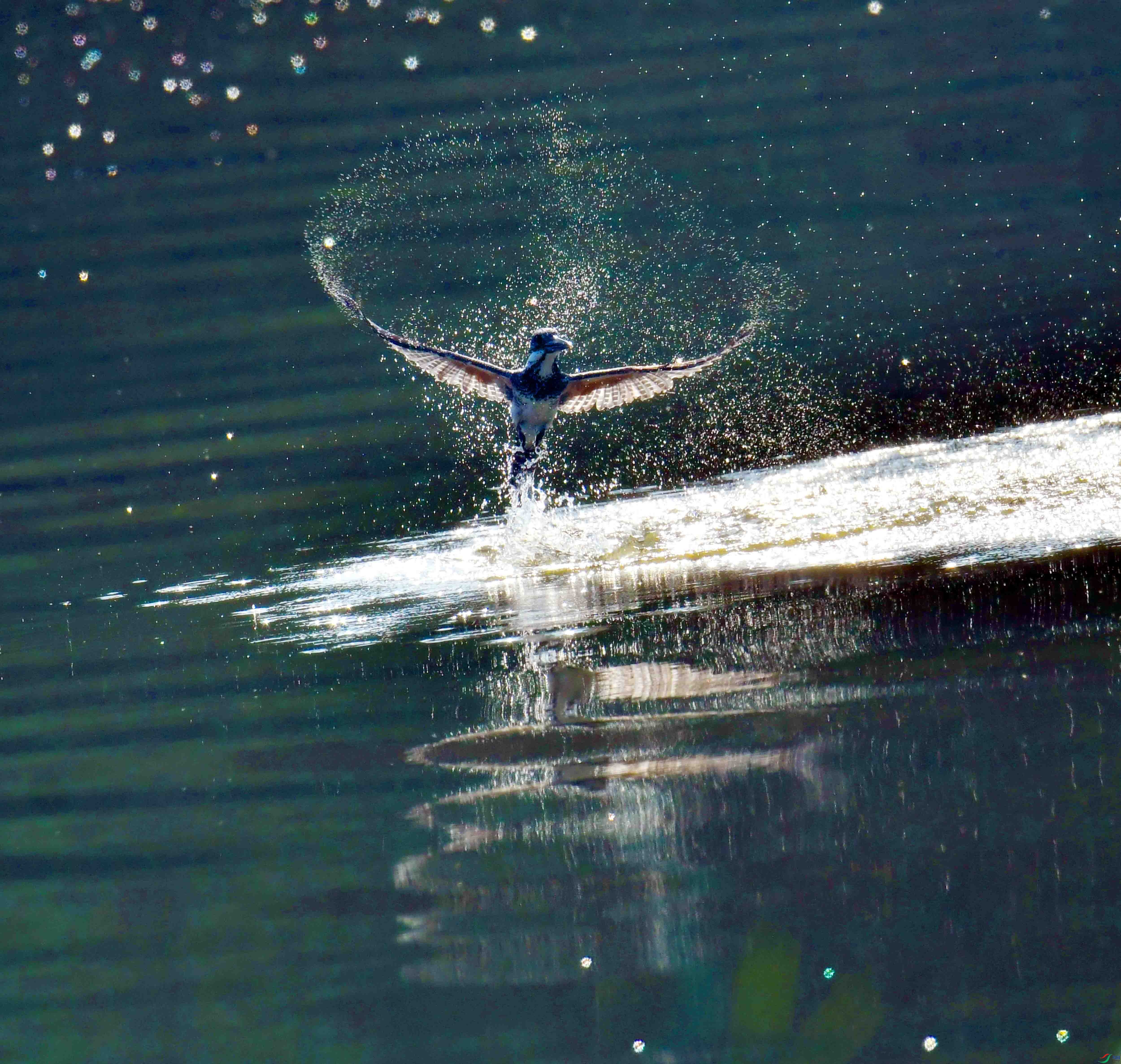 DSC_5548.JPG