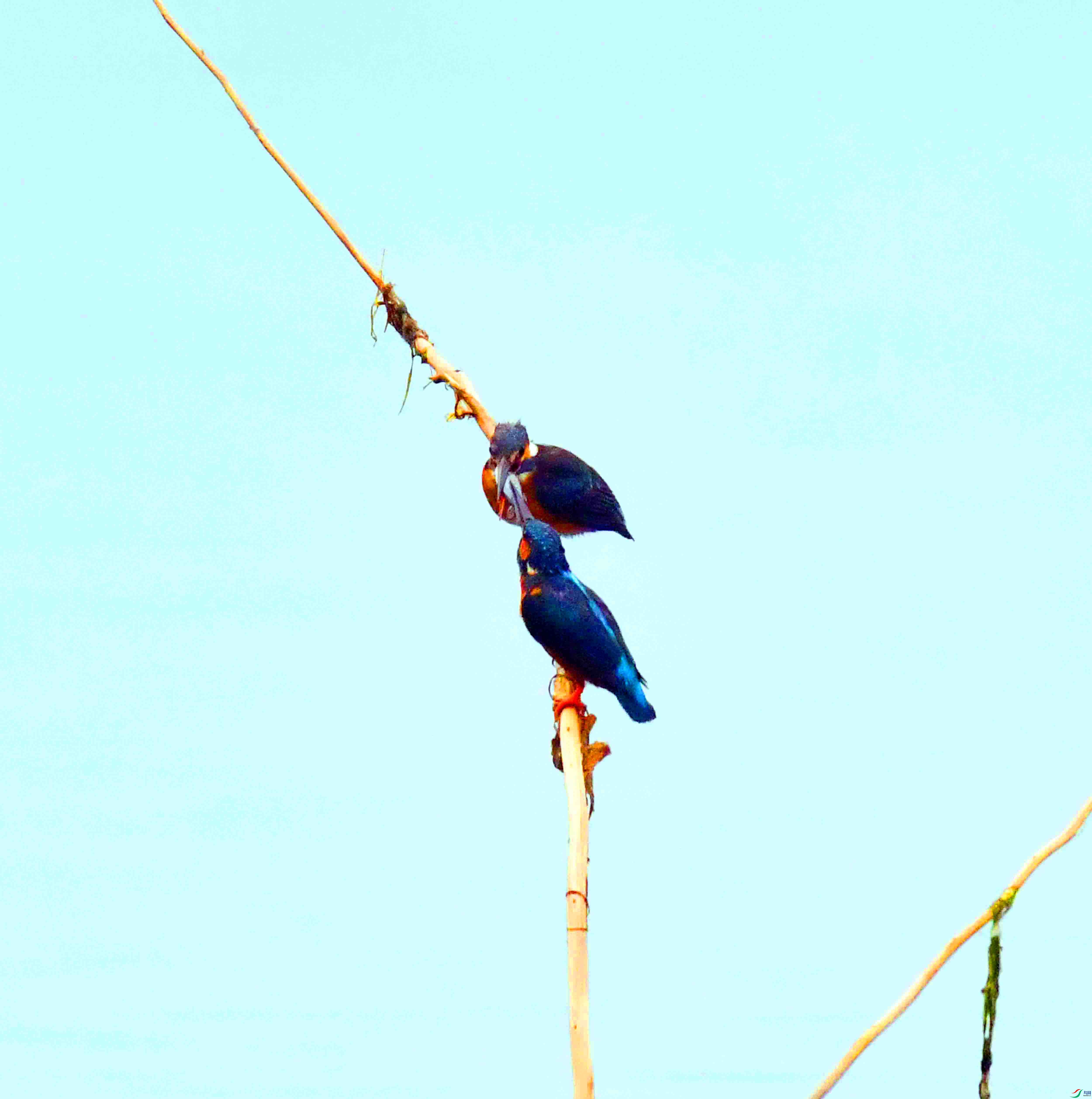 DSC_0329.JPG