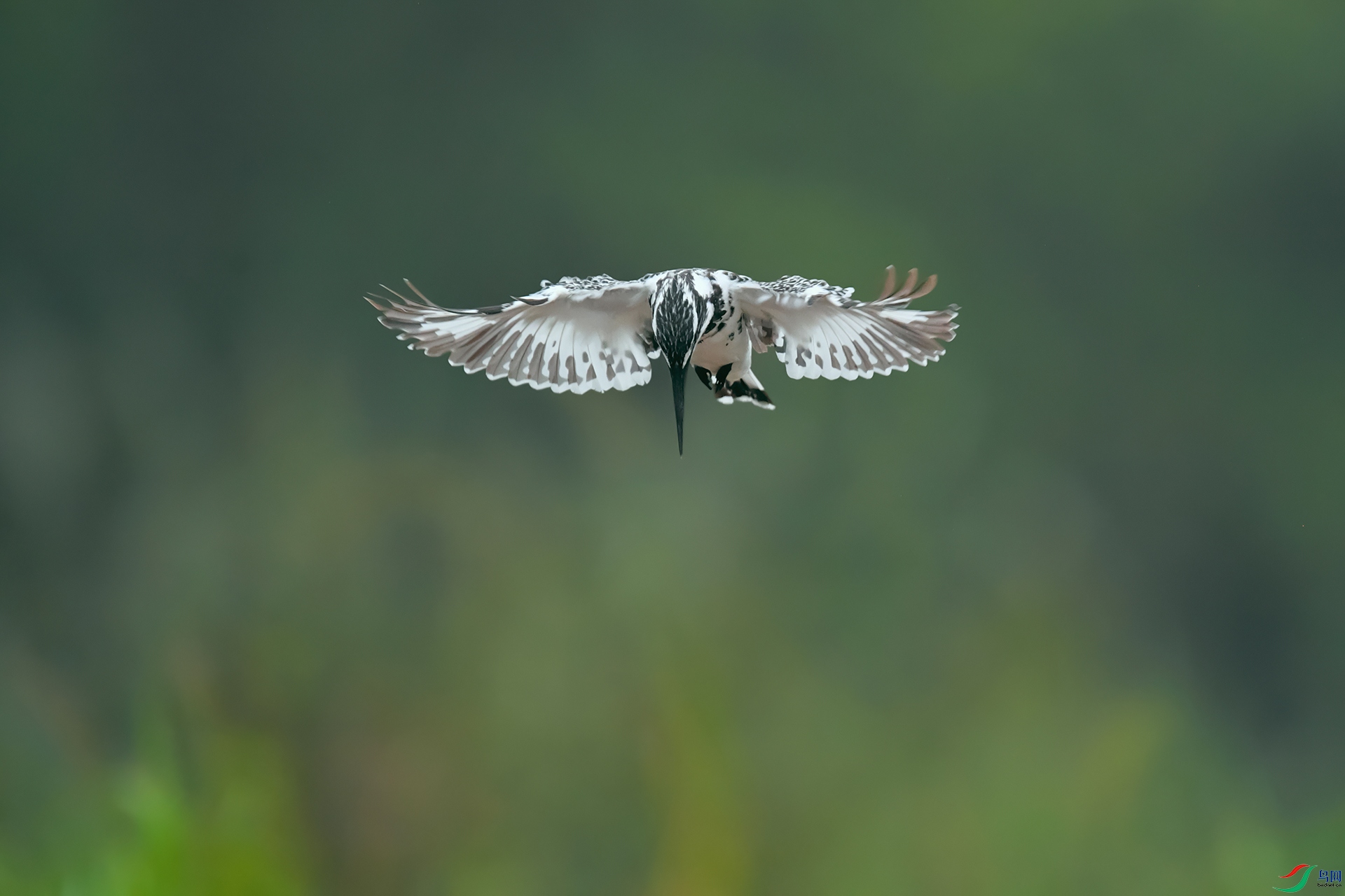 DSC_5027_DxOa.jpg