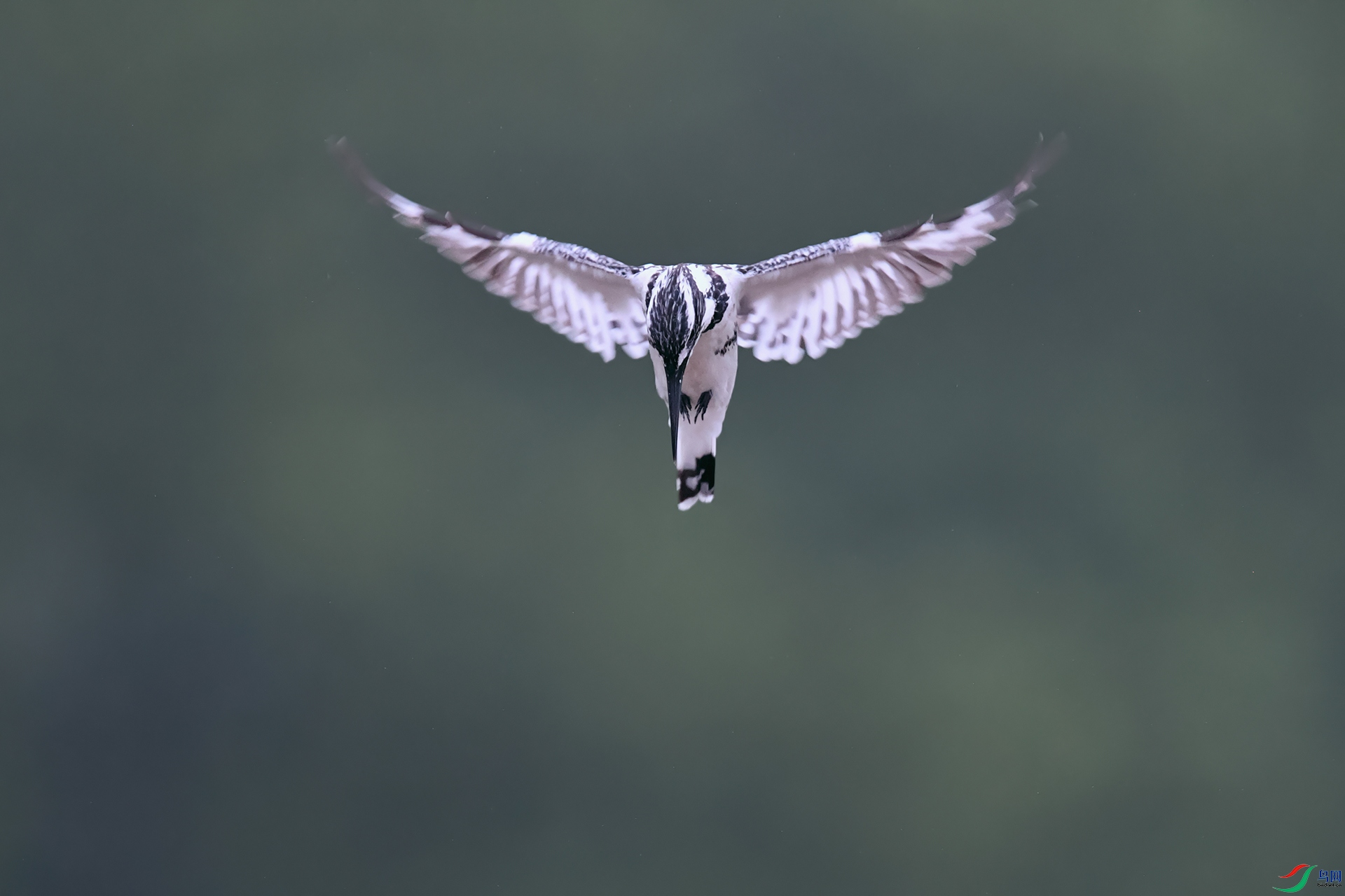 DSC_4944_DxOa.jpg