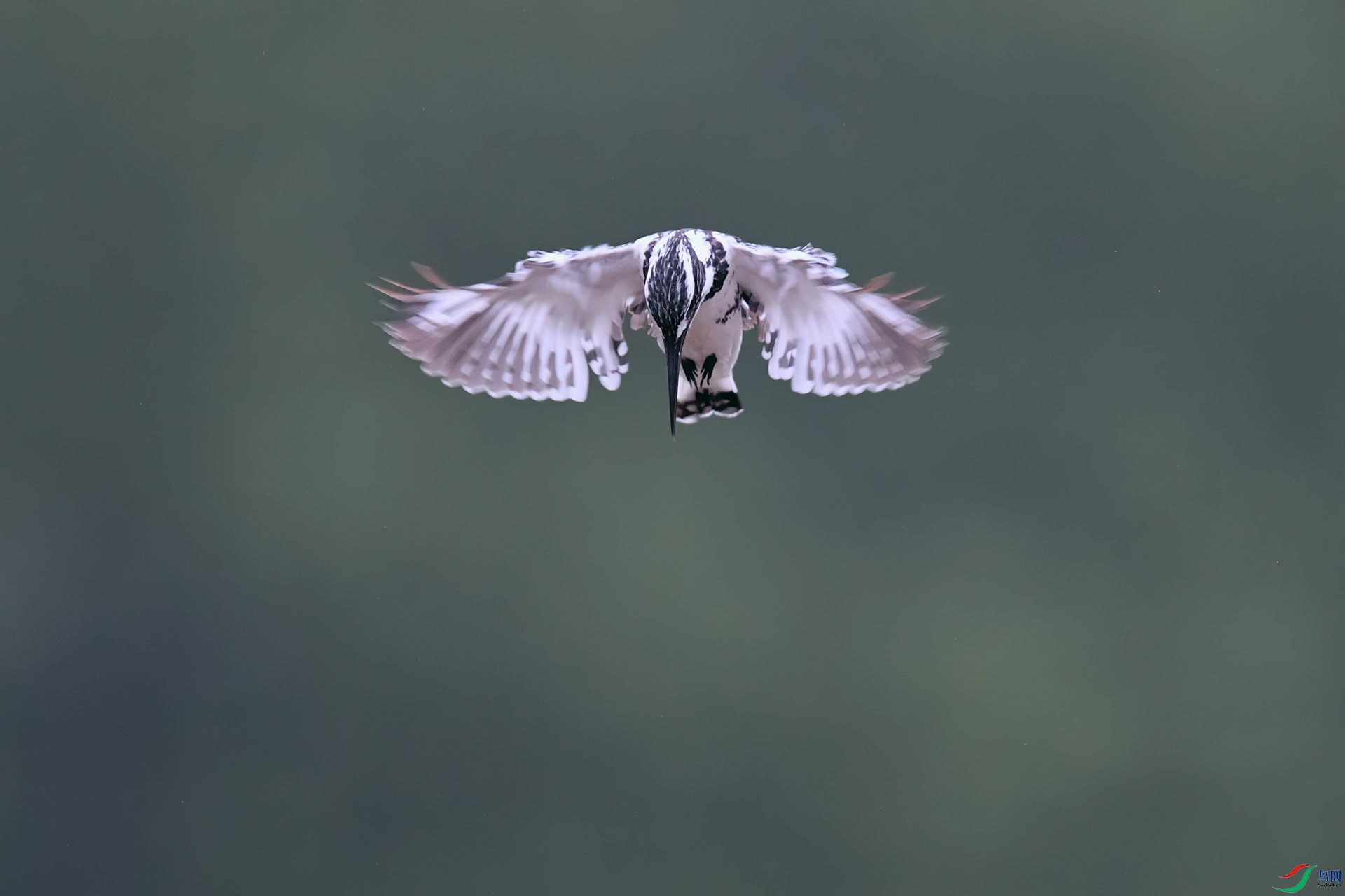 DSC_4943_DxOa.jpg