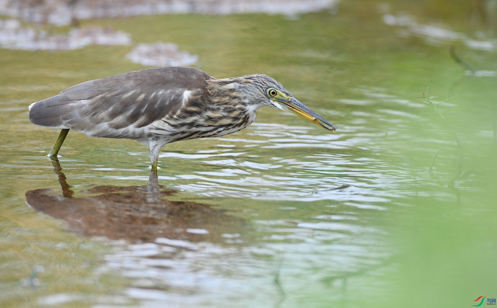 DSC_8169.jpg
