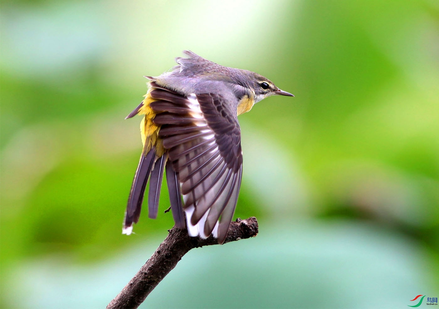 05-���n�_.jpg