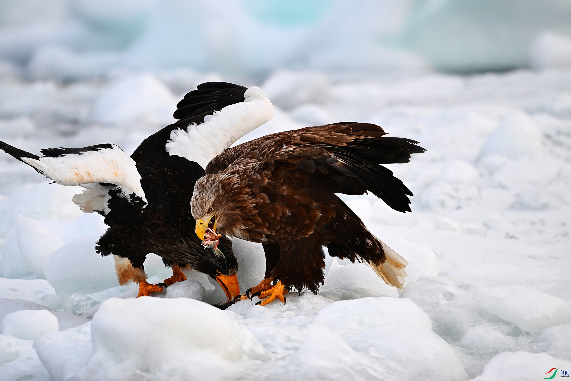 DSC_6992_  (6).jpg