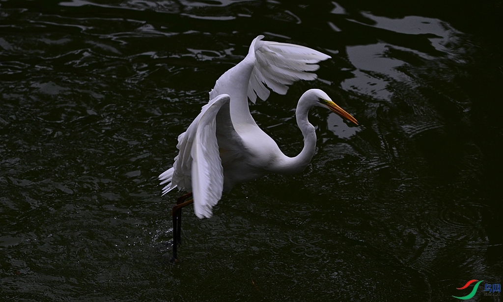 DSC_1551.JPG