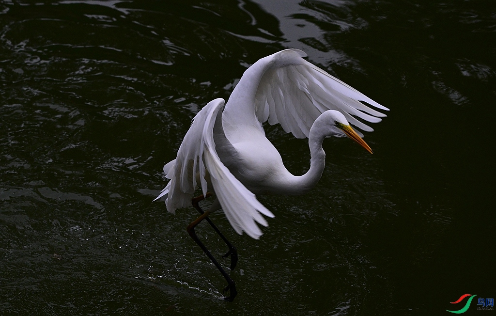 DSC_1555.JPG