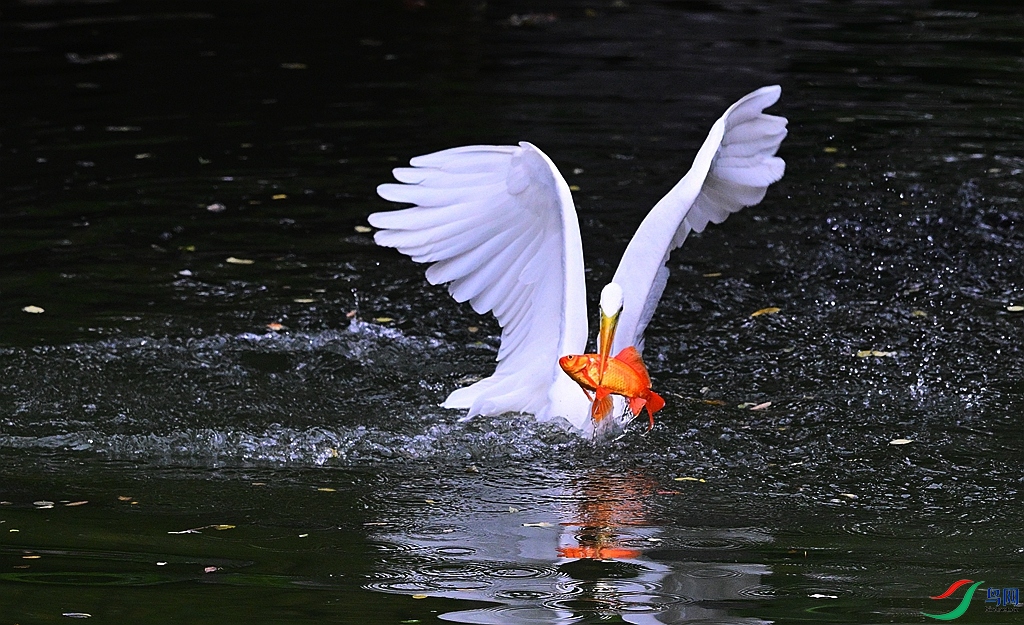 DSC_2164.JPG