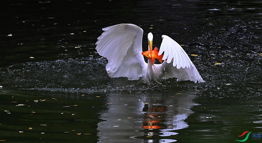 DSC_2167.JPG