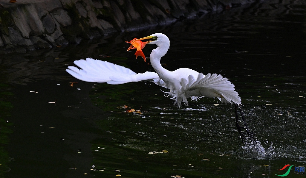 DSC_2173.JPG