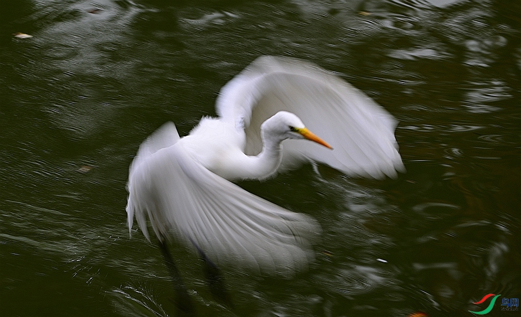 DSC_1767.JPG