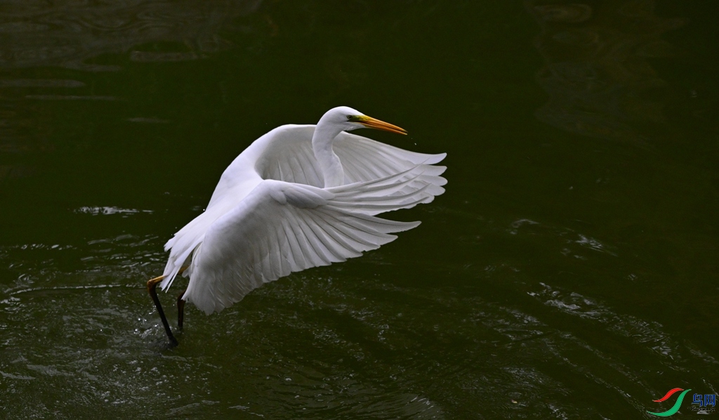 DSC_1625.JPG
