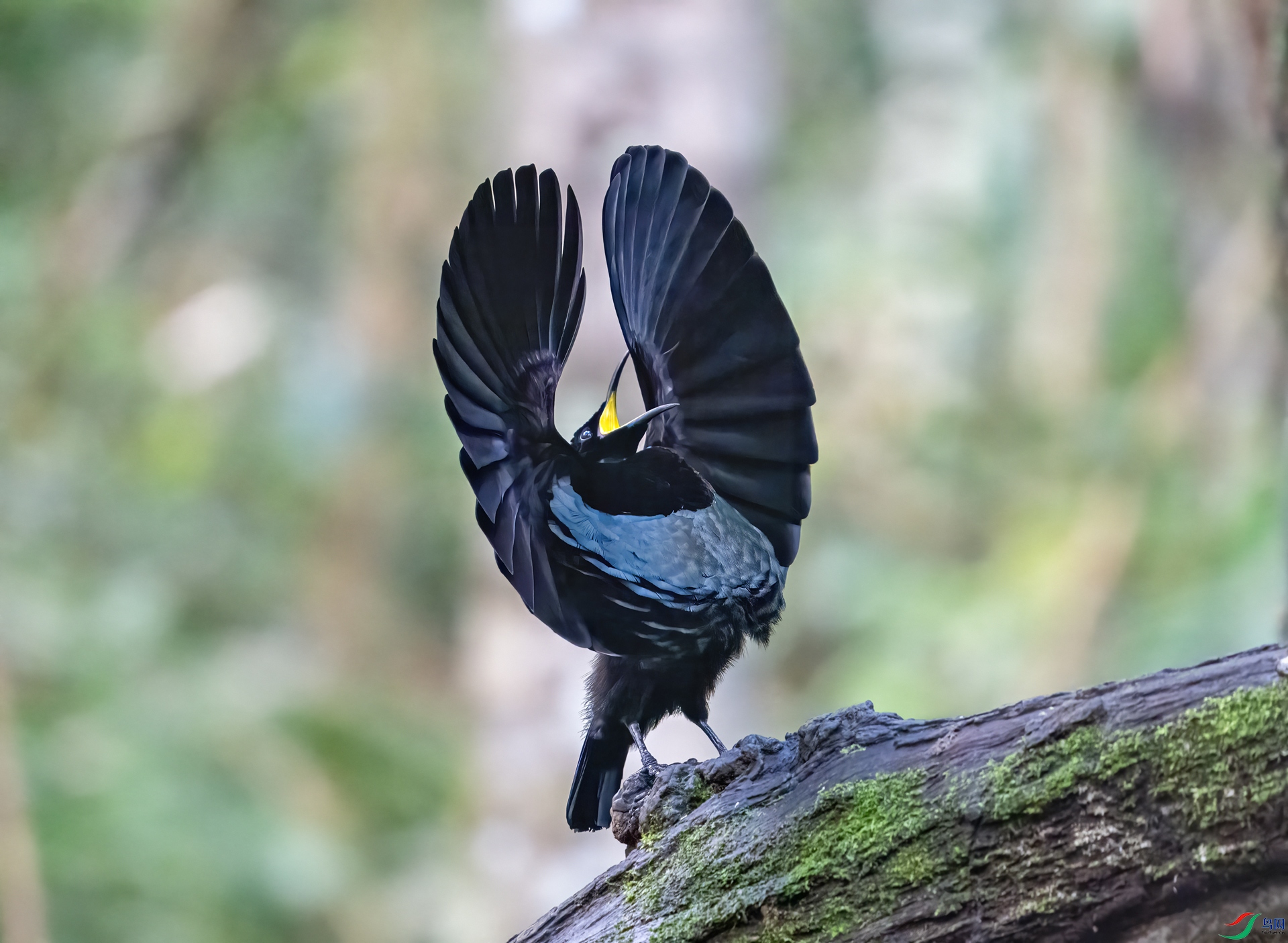DSC_4965.jpg