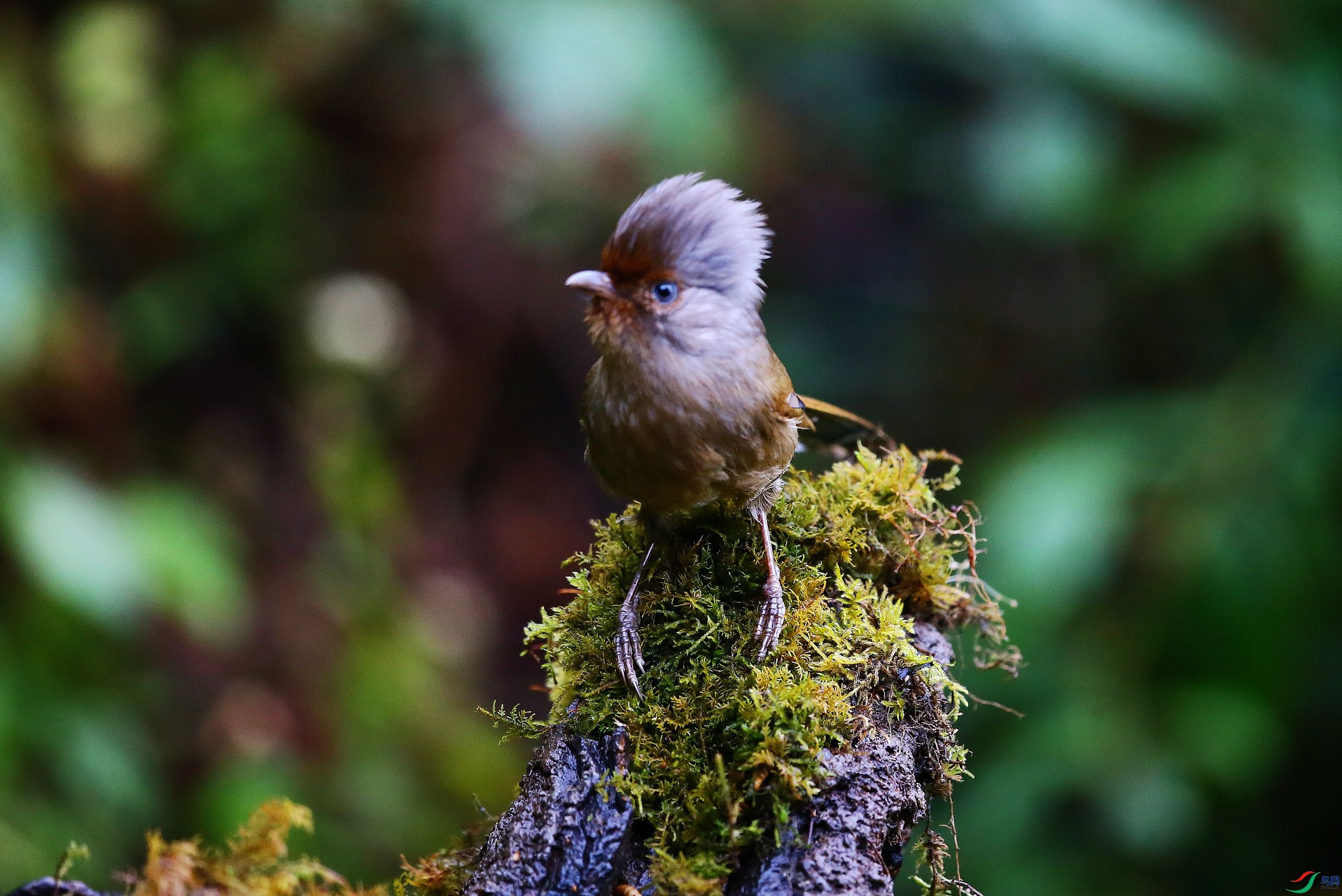 ���߳��� (13).JPG