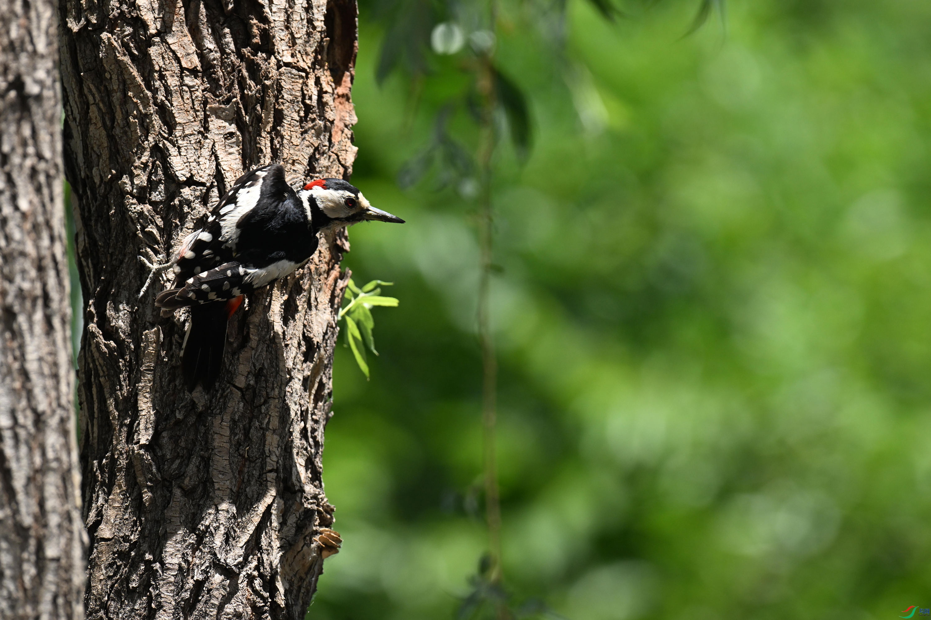 �����ľ�� (4).jpg